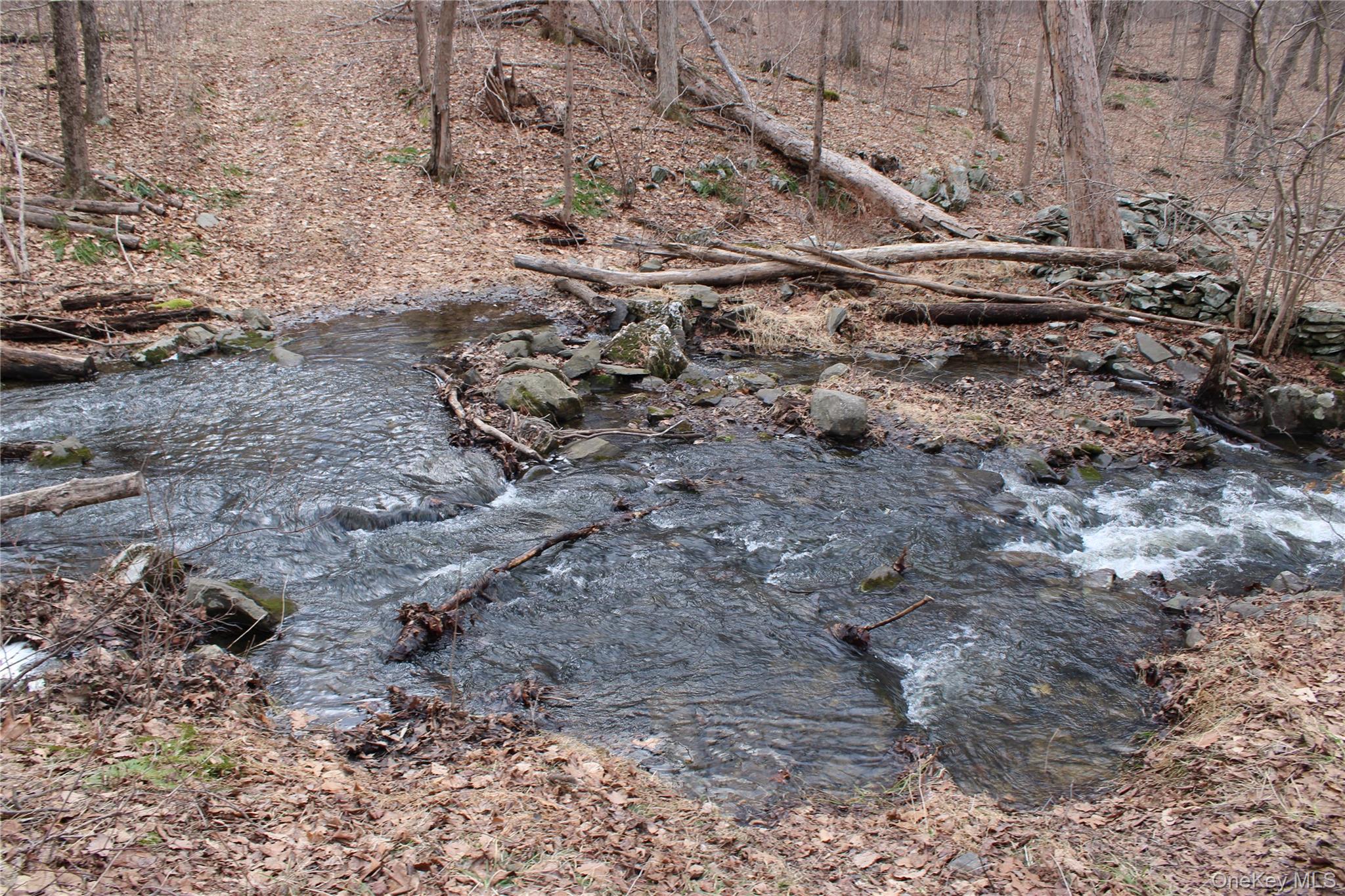 19 S Cross Road, Staatsburg, NY 12580