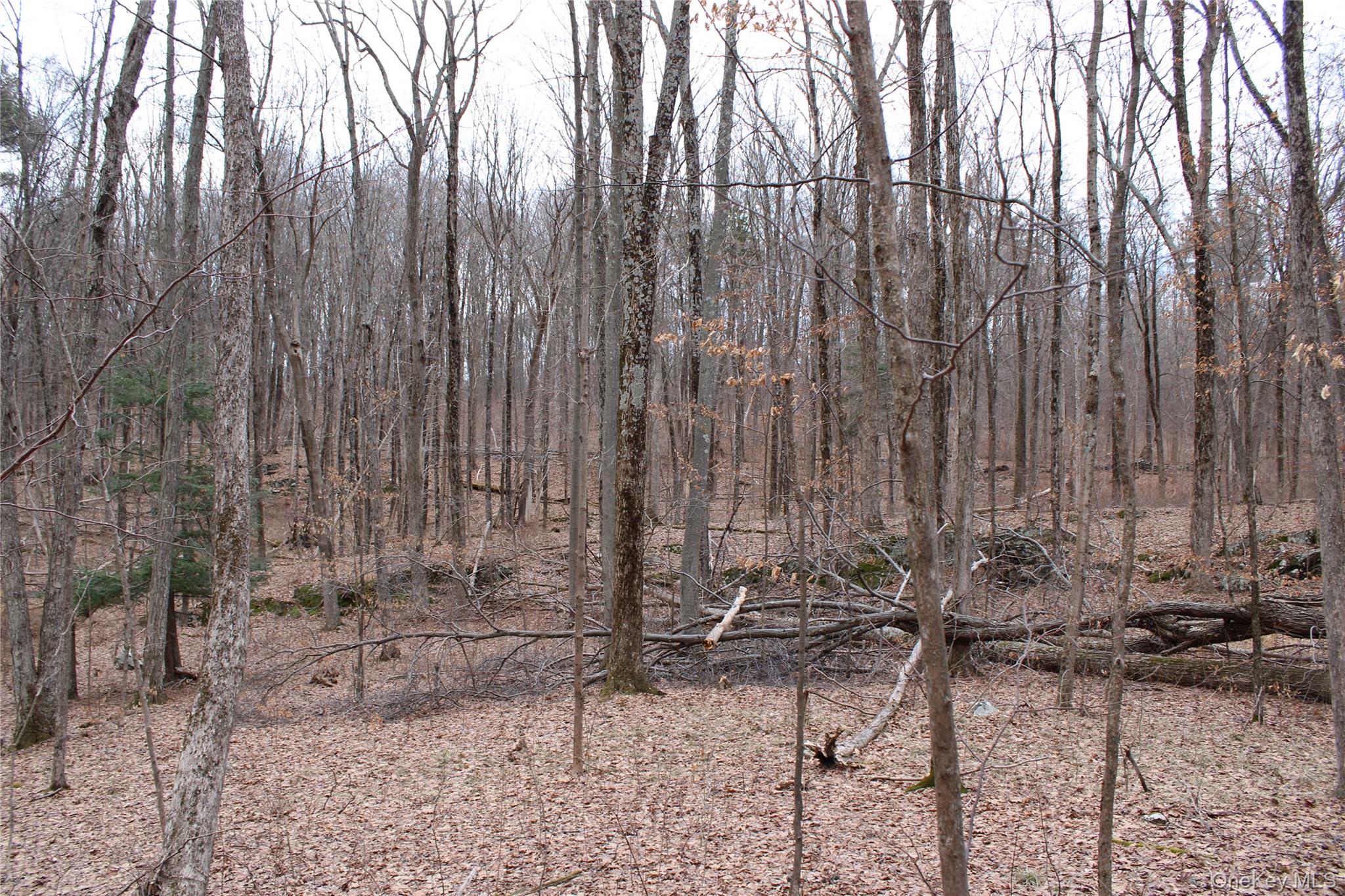 19 S Cross Road, Staatsburg, NY 12580