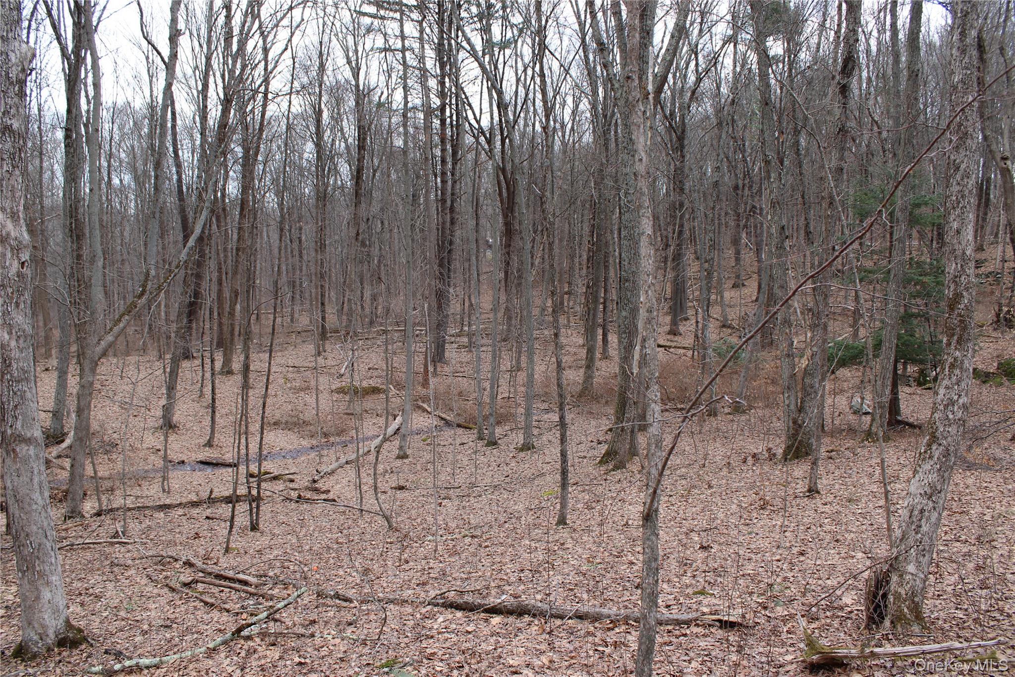 19 S Cross Road, Staatsburg, NY 12580