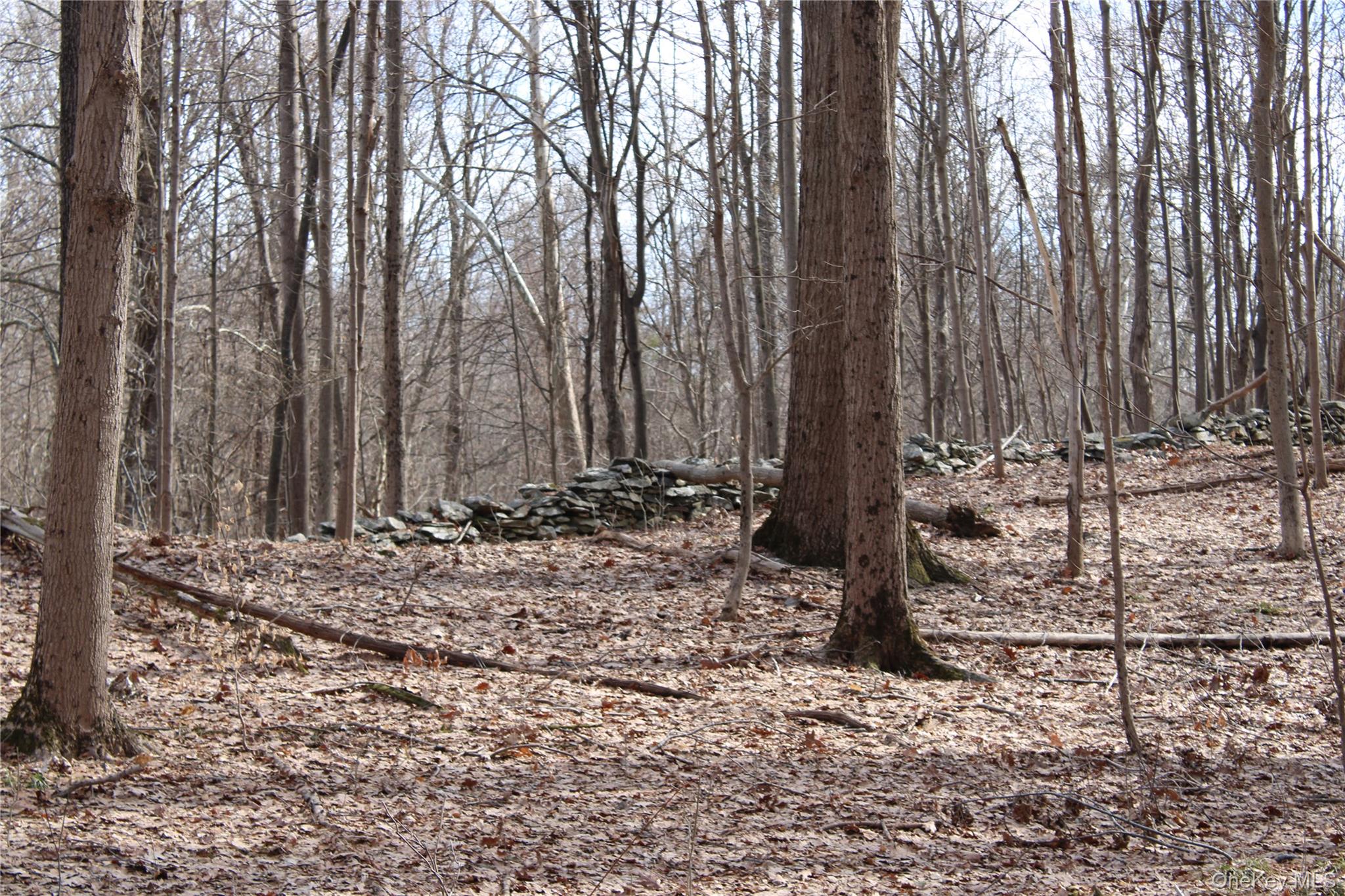 19 S Cross Road, Staatsburg, NY 12580