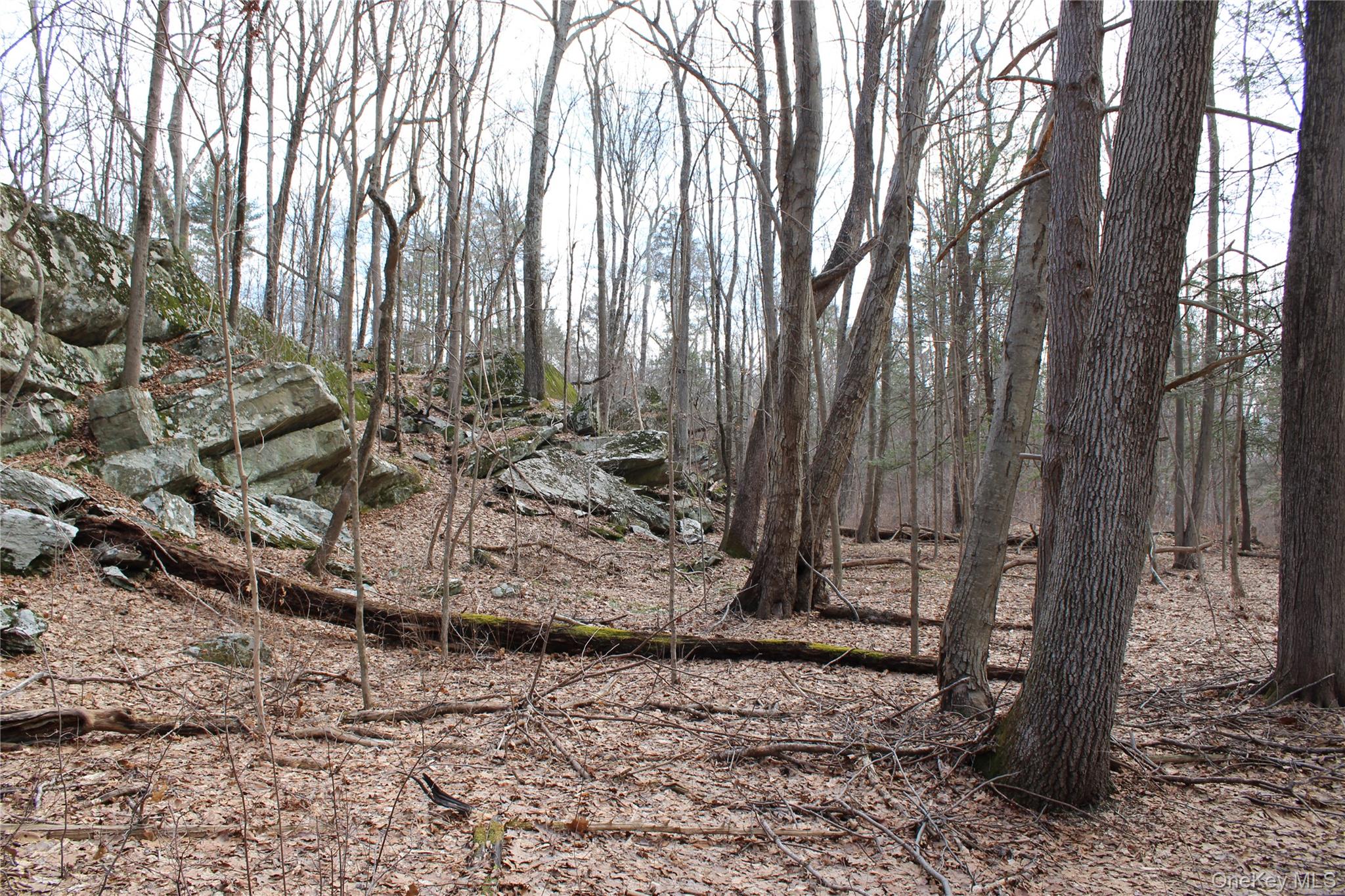 19 S Cross Road, Staatsburg, NY 12580