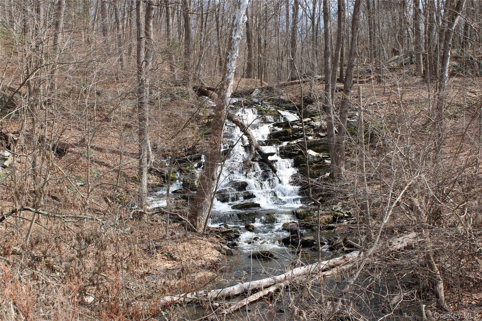 19 S Cross Road, Staatsburg, NY 12580