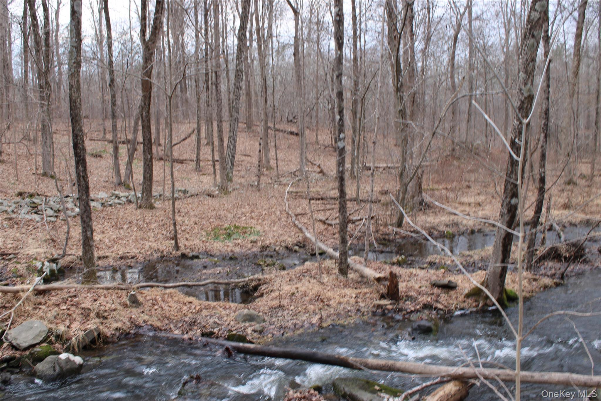 19 S Cross Road, Staatsburg, NY 12580