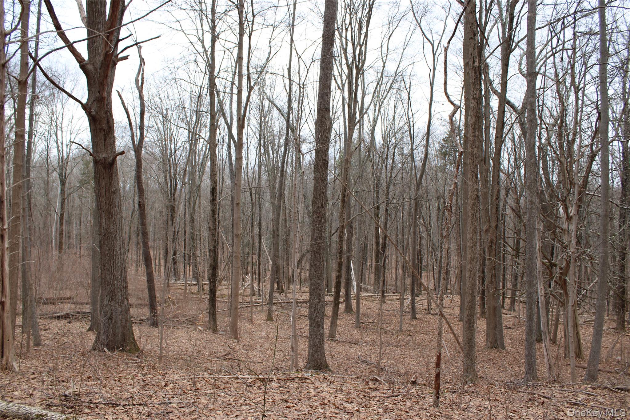 19 S Cross Road, Staatsburg, NY 12580