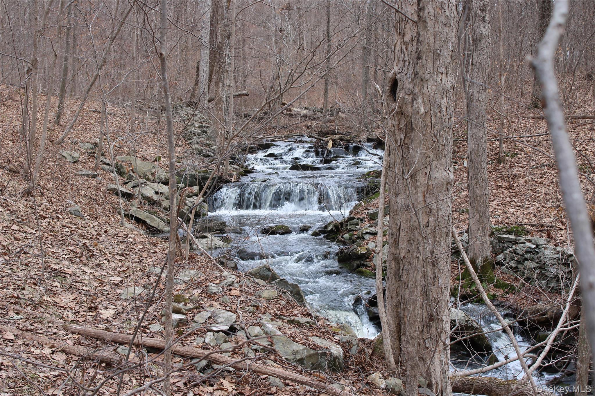 19 S Cross Road, Staatsburg, NY 12580