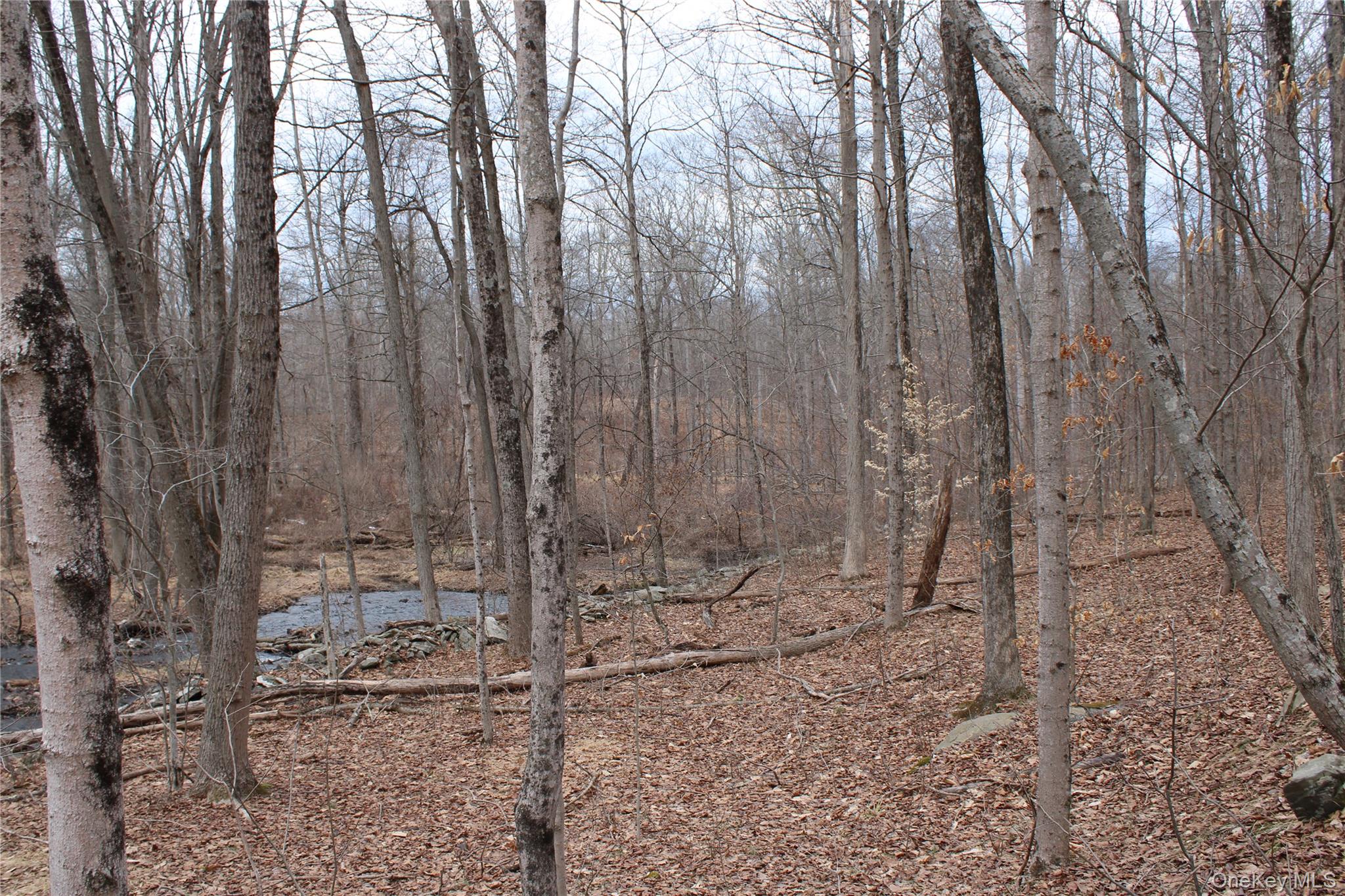 19 S Cross Road, Staatsburg, NY 12580