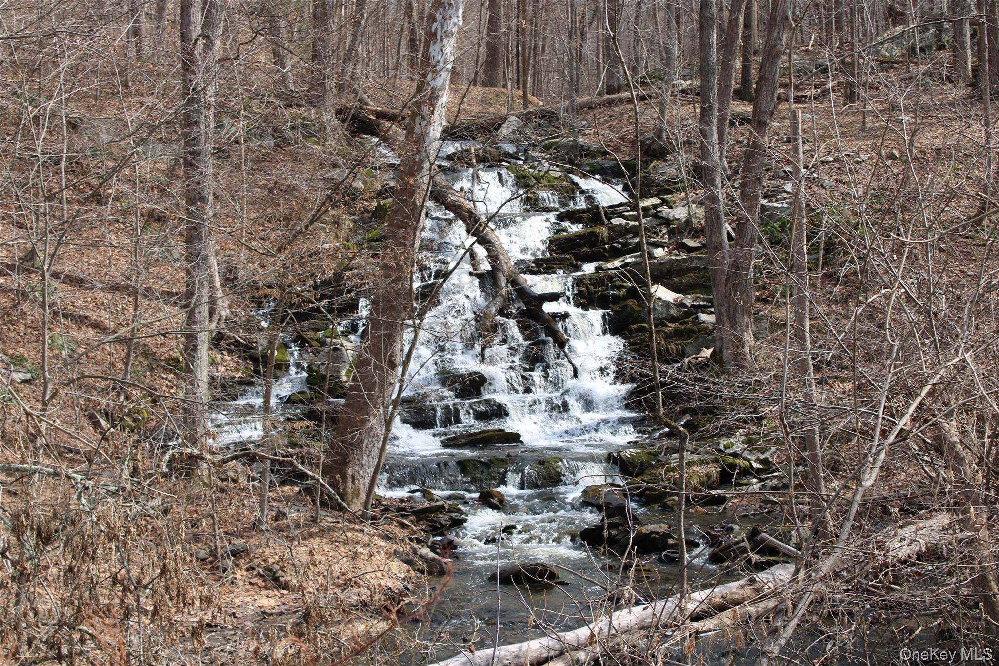 19 S Cross Road, Staatsburg, NY 12580