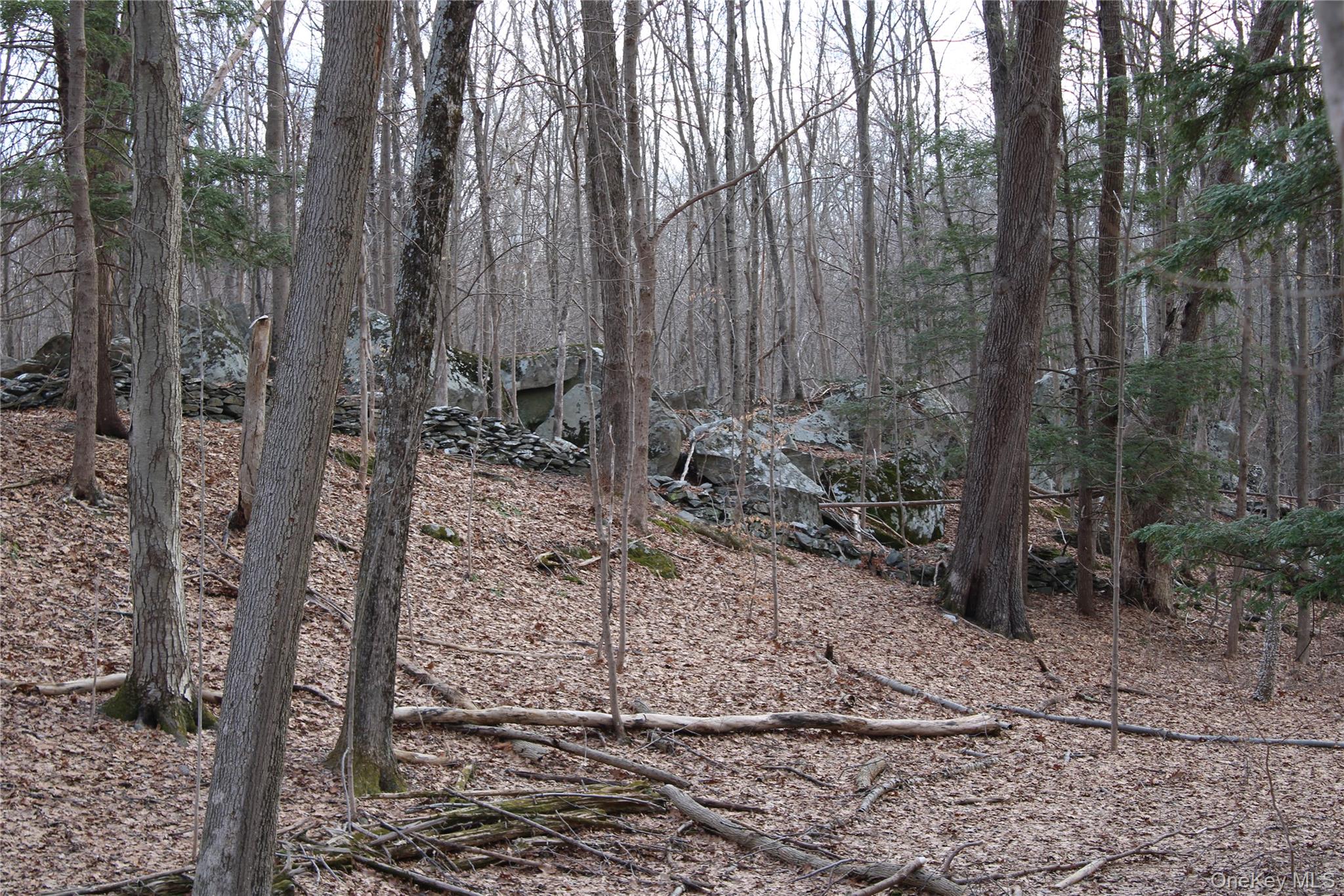 19 S Cross Road, Staatsburg, NY 12580