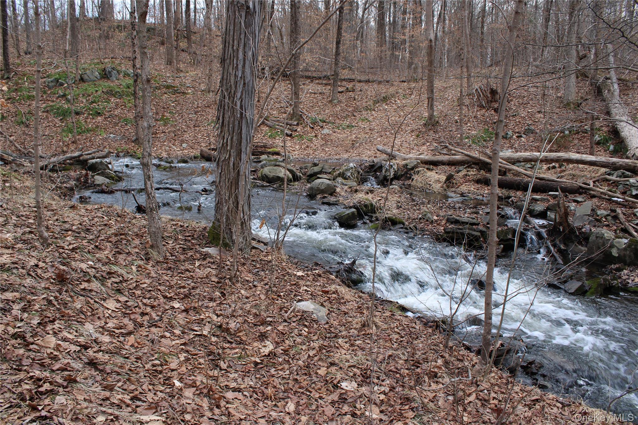 19 S Cross Road, Staatsburg, NY 12580