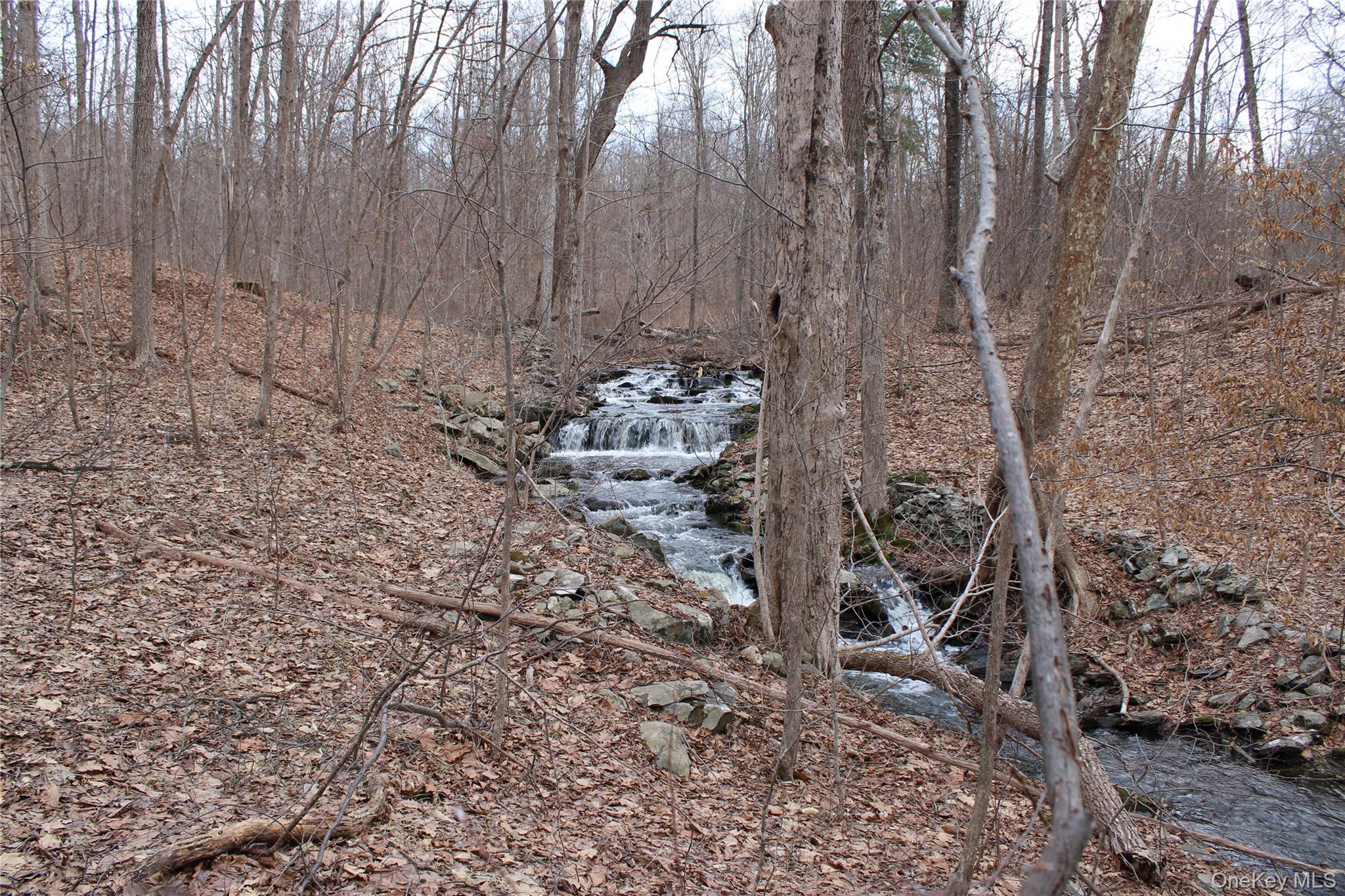 19 S Cross Road, Staatsburg, NY 12580