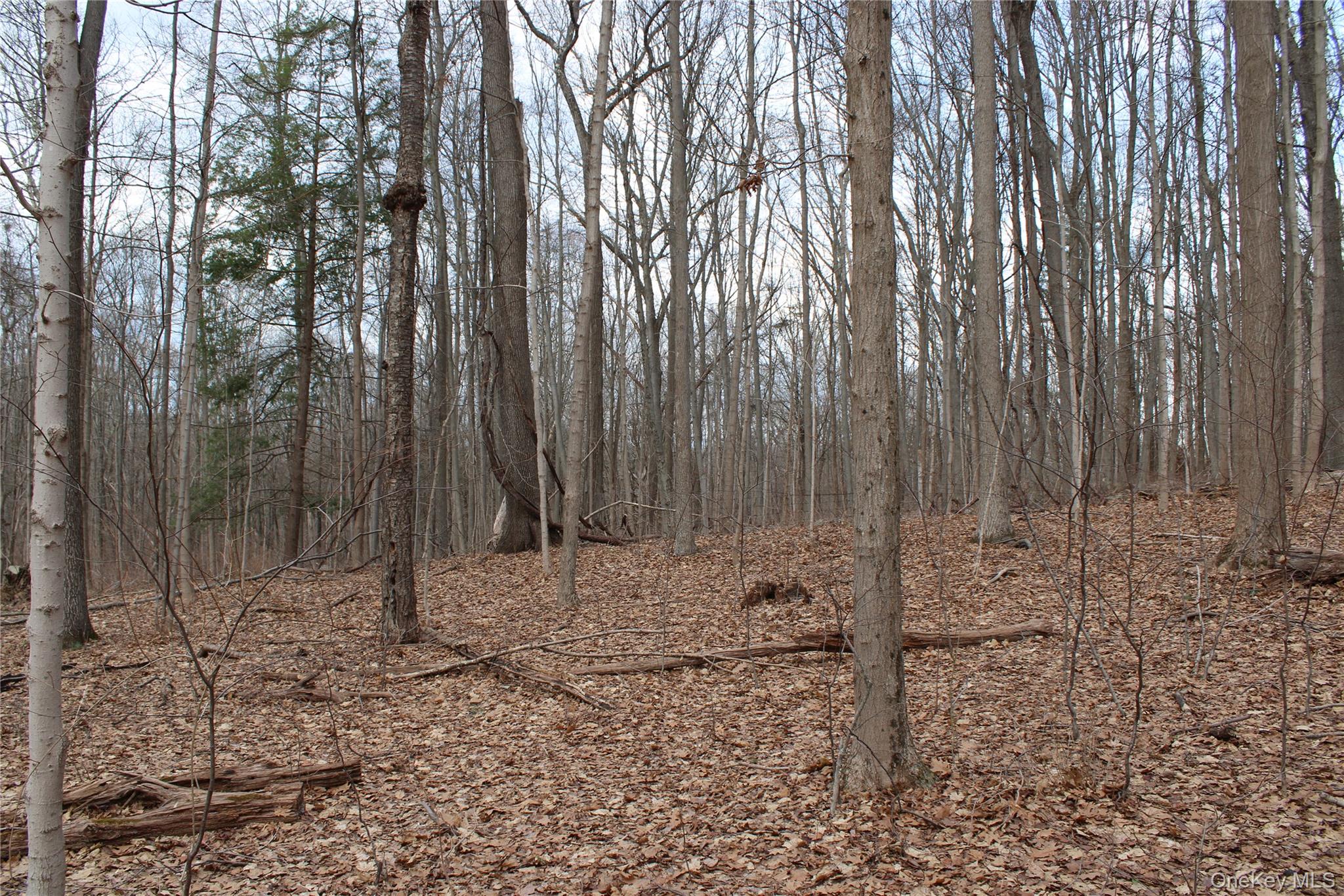 19 S Cross Road, Staatsburg, NY 12580