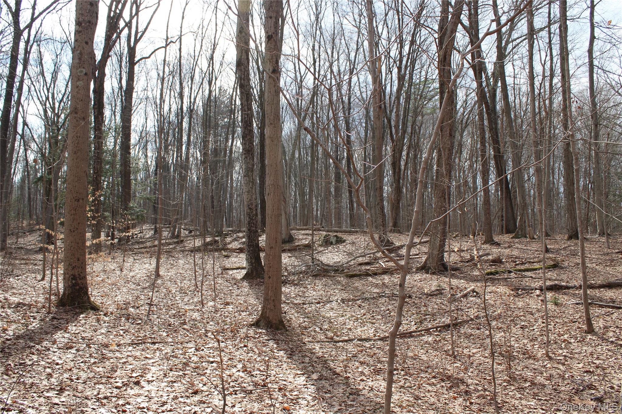 19 S Cross Road, Staatsburg, NY 12580