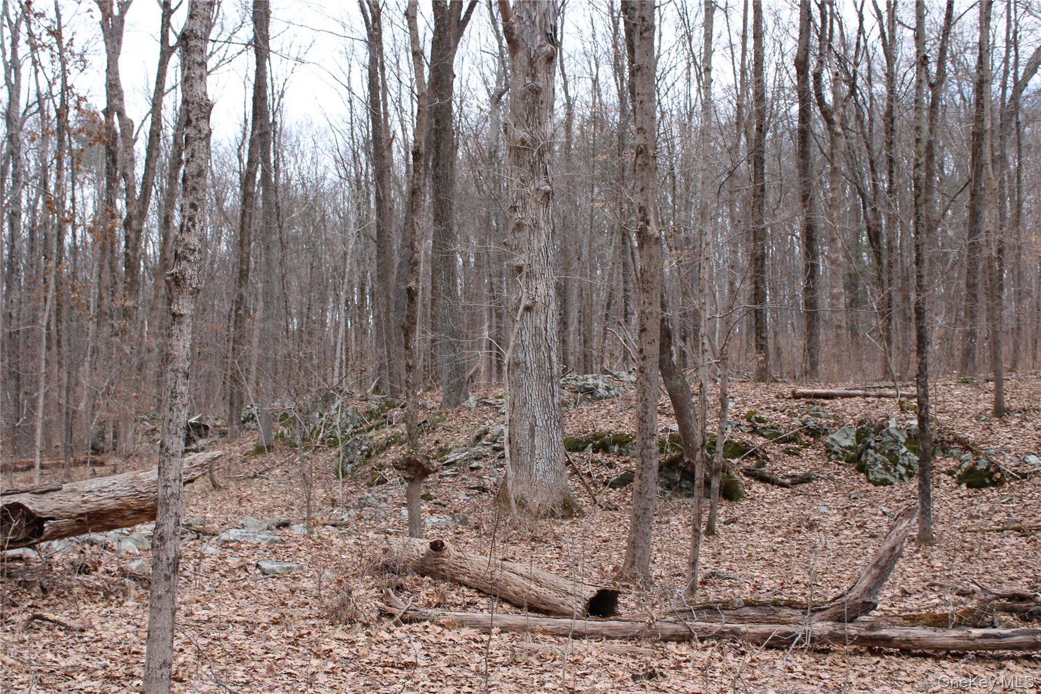 19 S Cross Road, Staatsburg, NY 12580