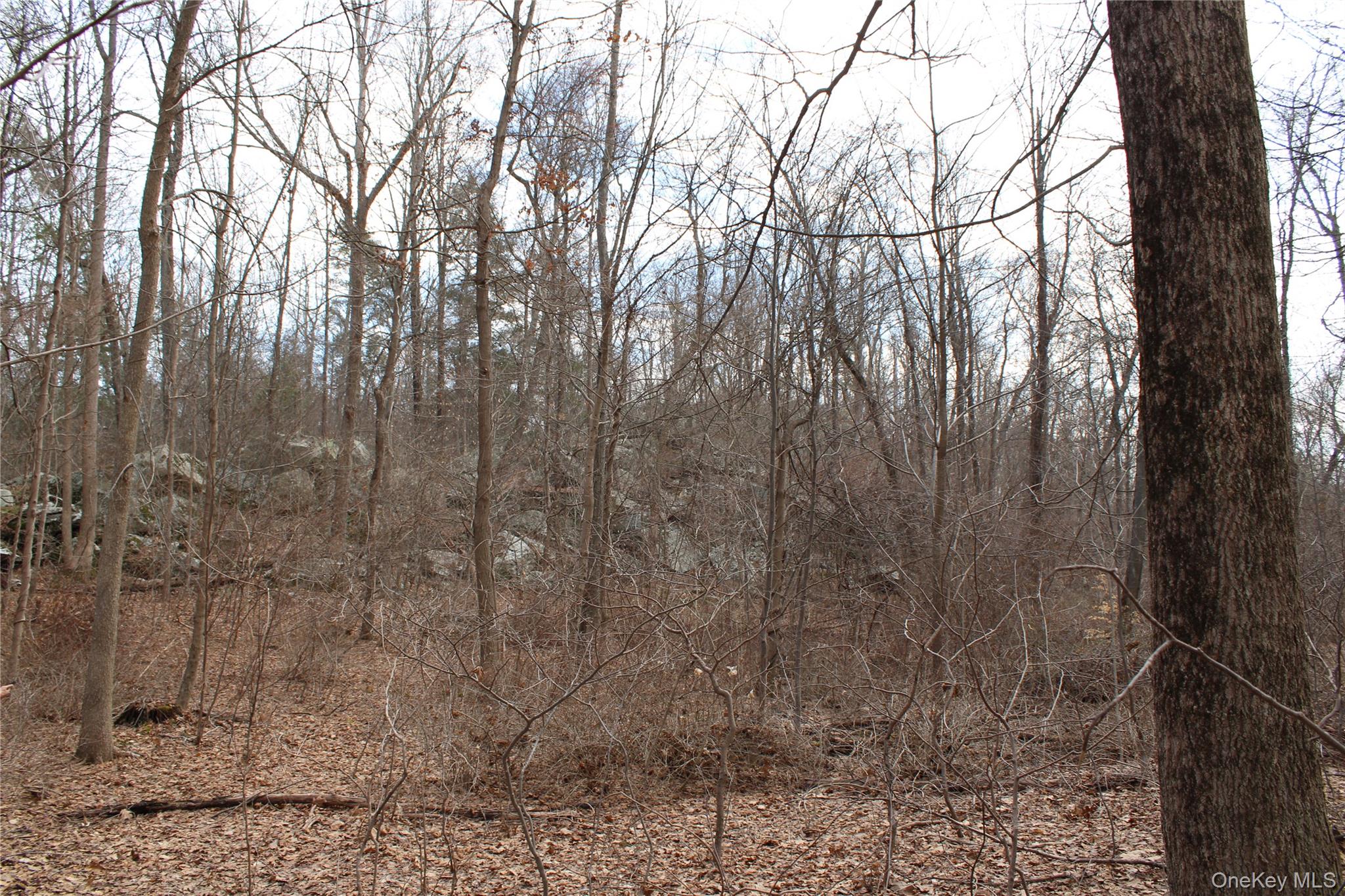 19 S Cross Road, Staatsburg, NY 12580