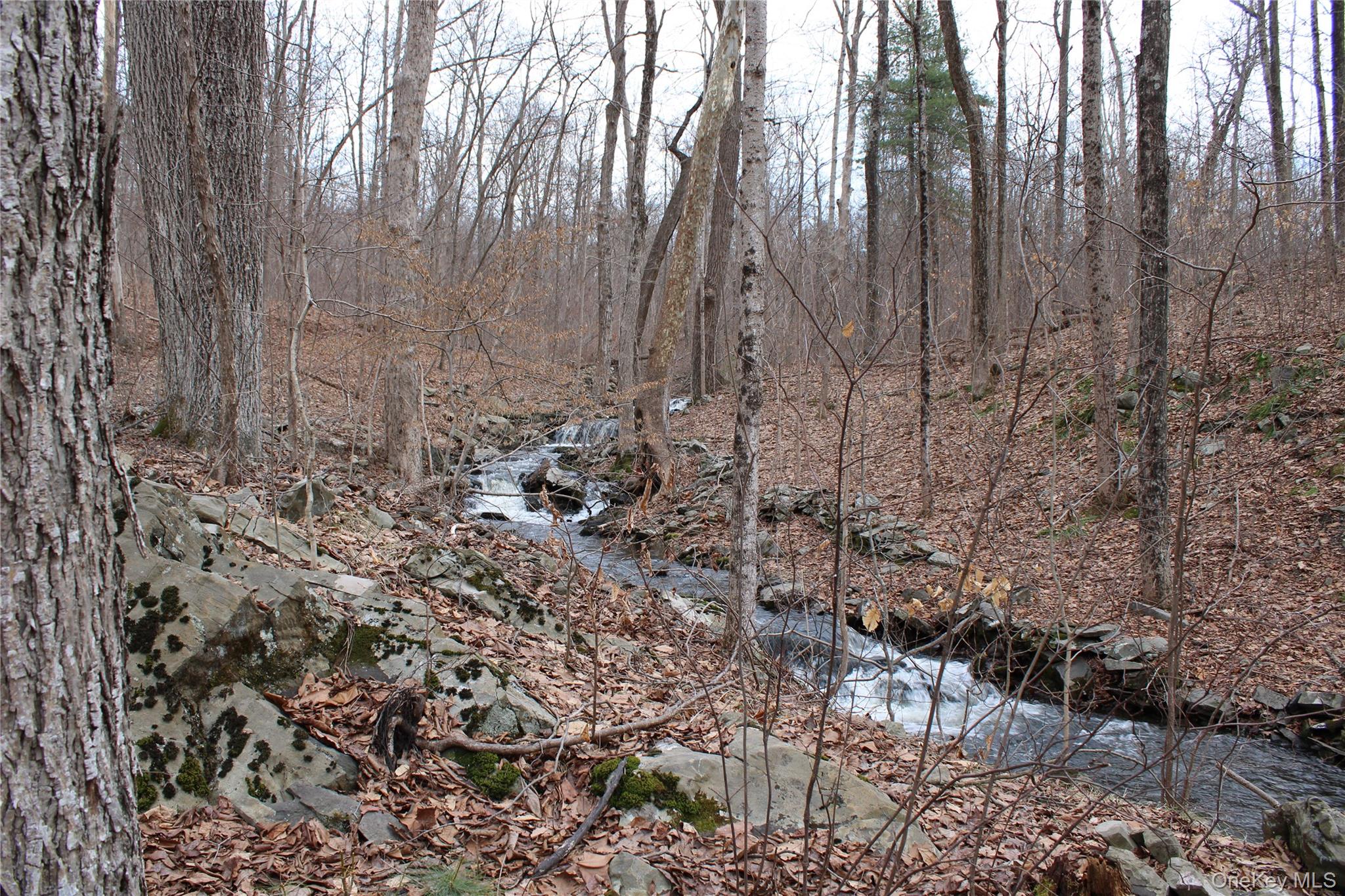 19 S Cross Road, Staatsburg, NY 12580