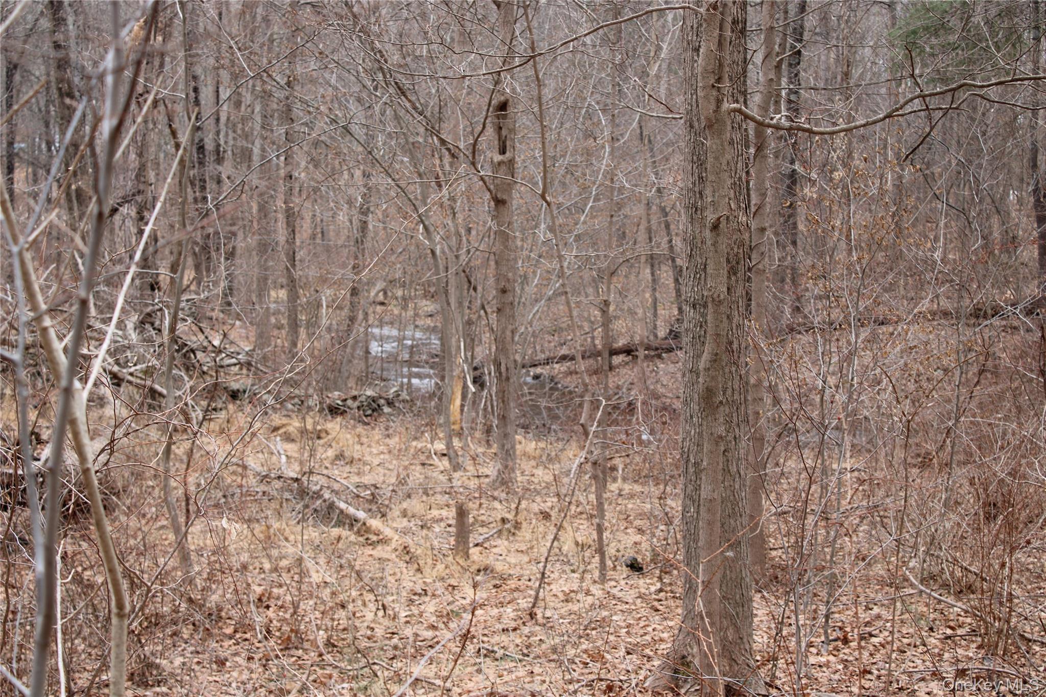 19 S Cross Road, Staatsburg, NY 12580