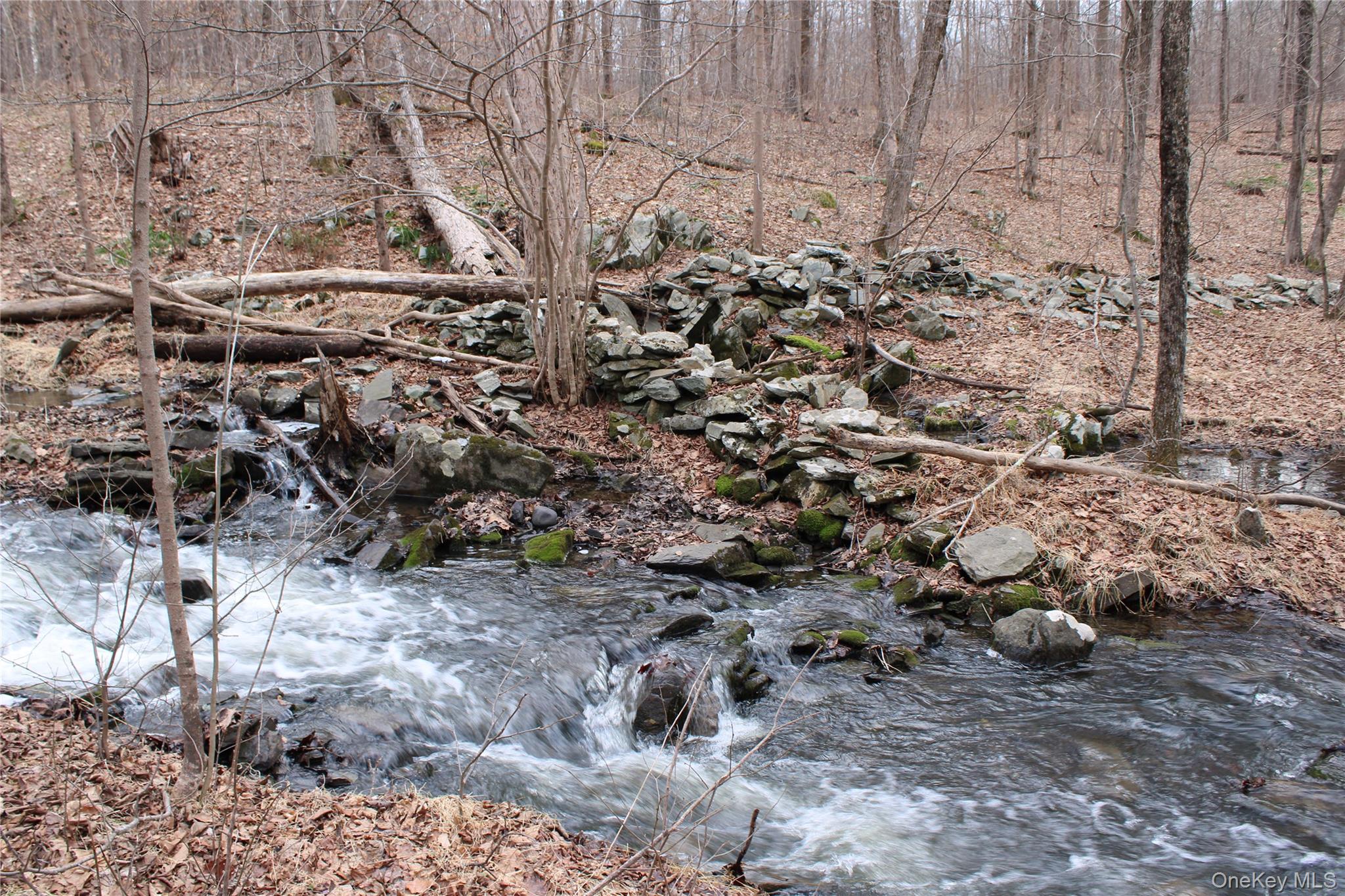 19 S Cross Road, Staatsburg, NY 12580