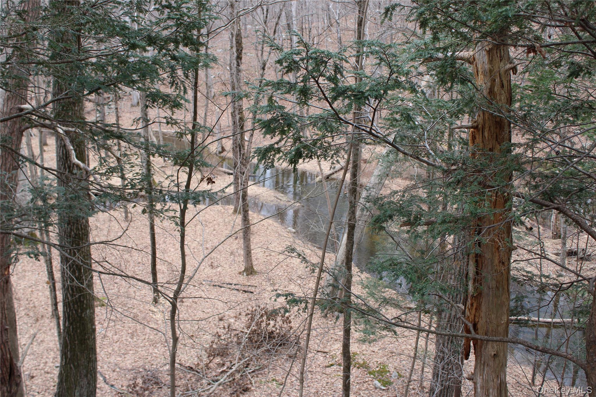 19 S Cross Road, Staatsburg, NY 12580