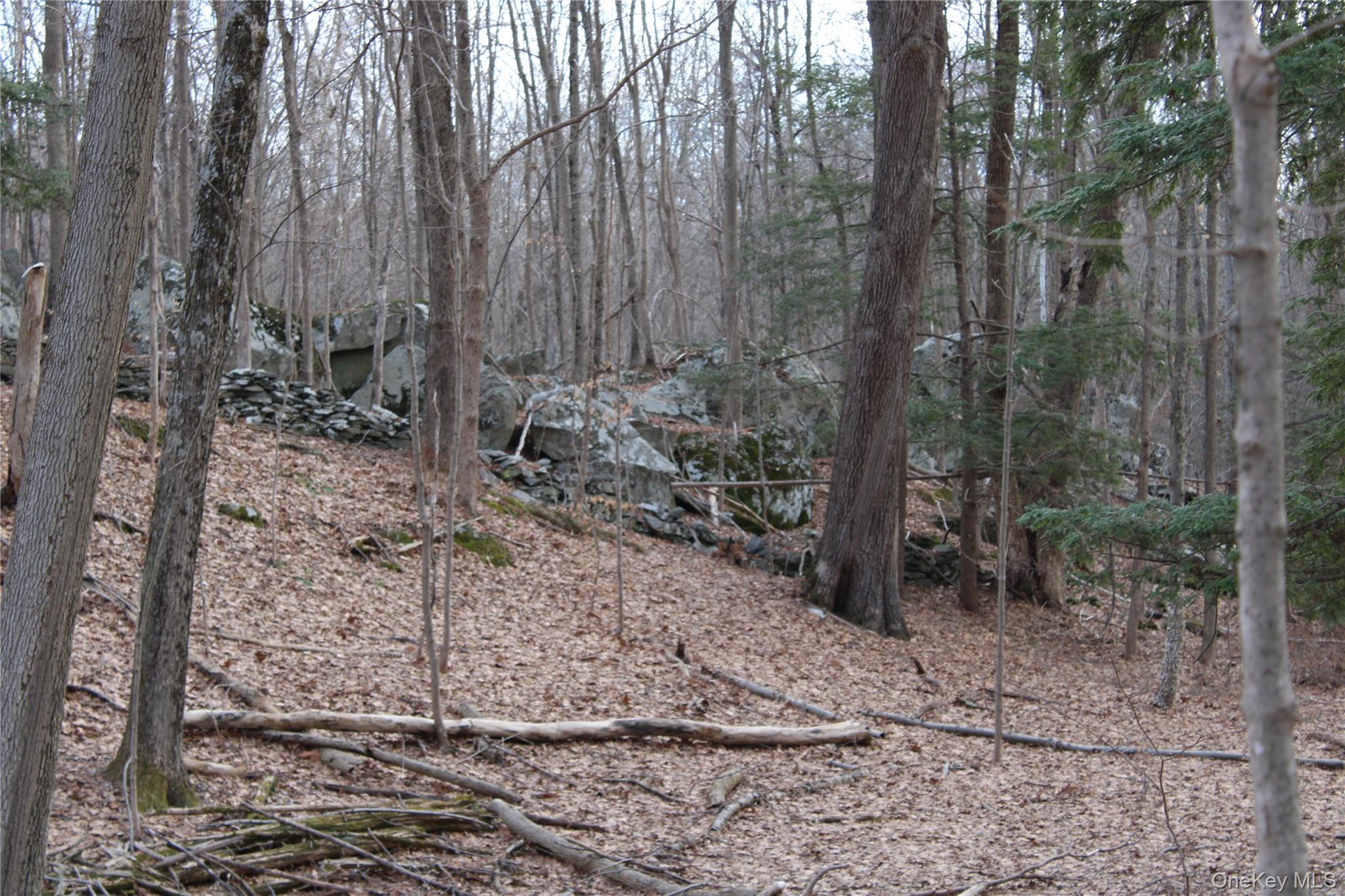 19 S Cross Road, Staatsburg, NY 12580