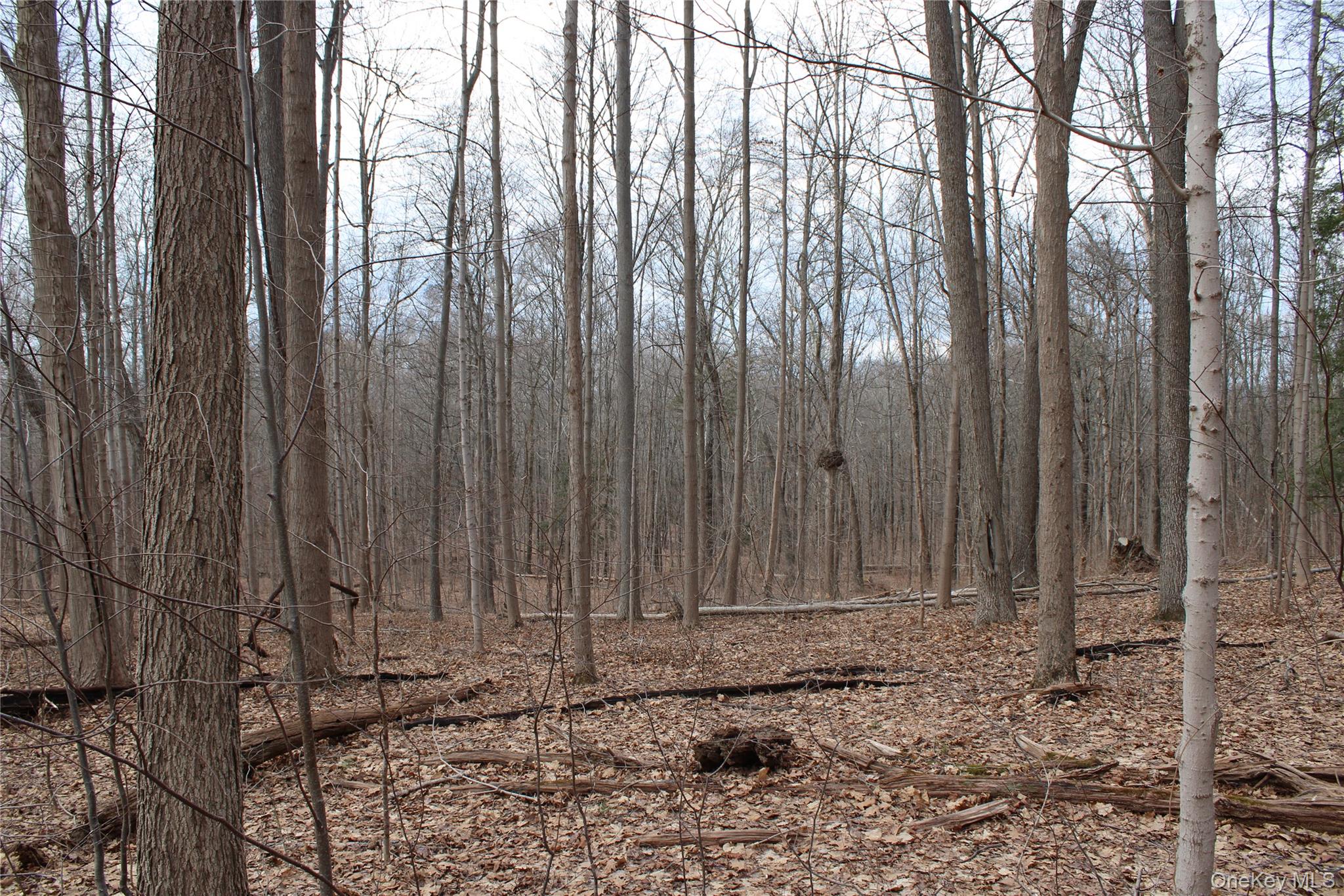 19 S Cross Road, Staatsburg, NY 12580