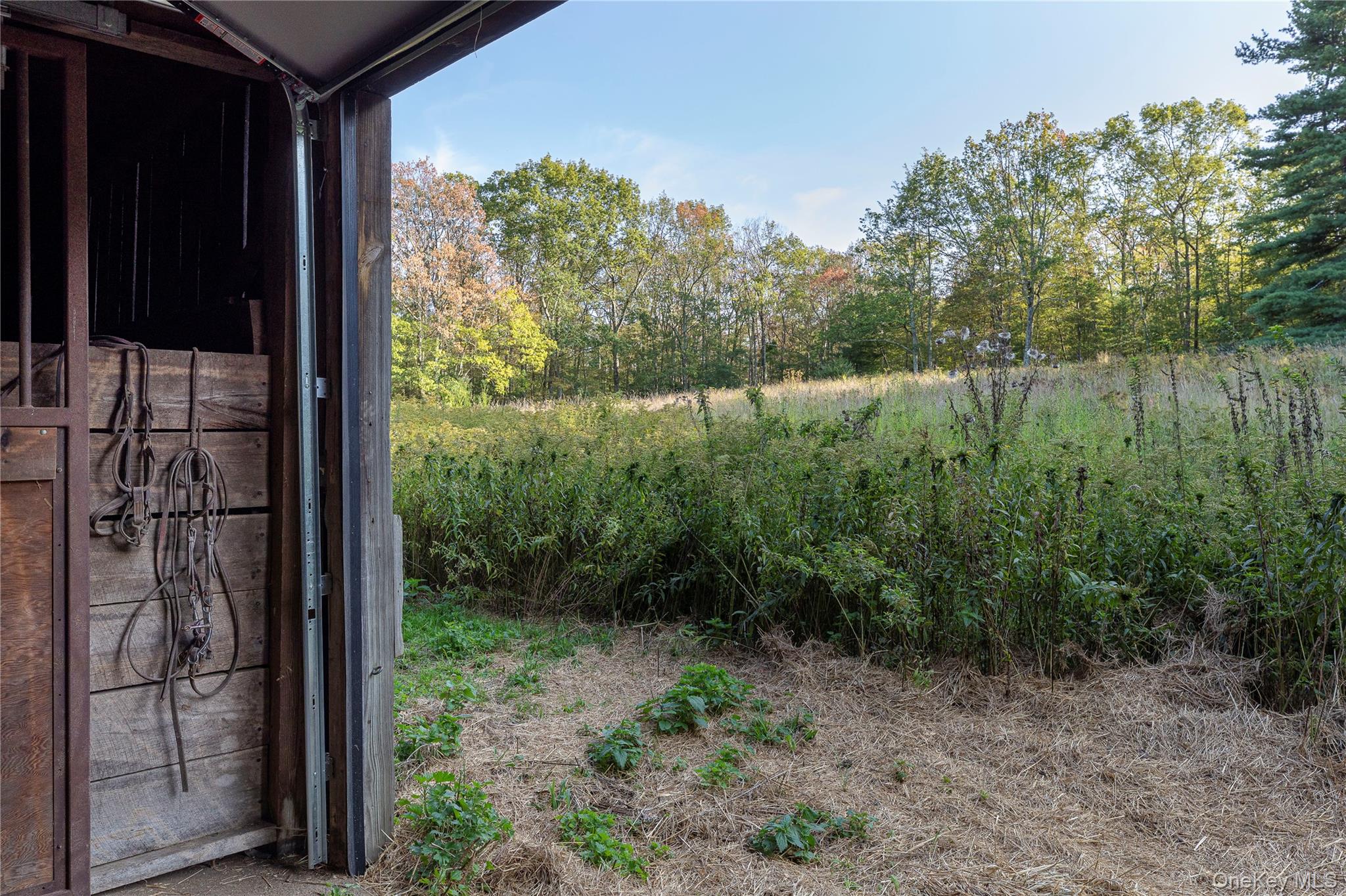 119 Mt Laurel Road, Kerhonkson, NY 12446