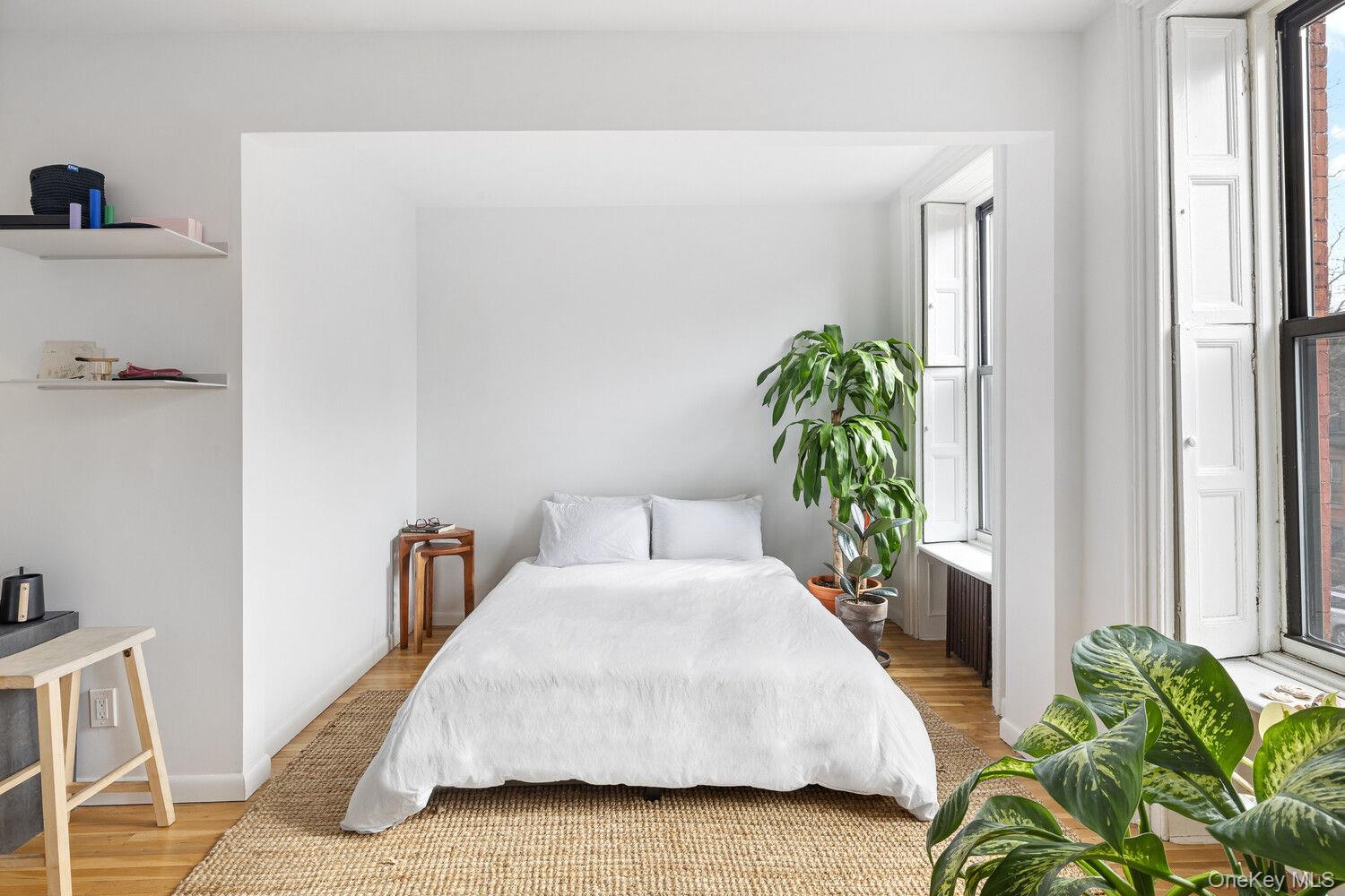 289 MACON Street, Brooklyn, NY 11216