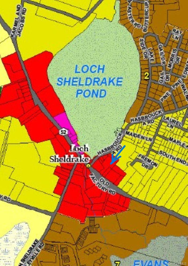 1122 State Route 52, Loch Sheldrake, NY 12759