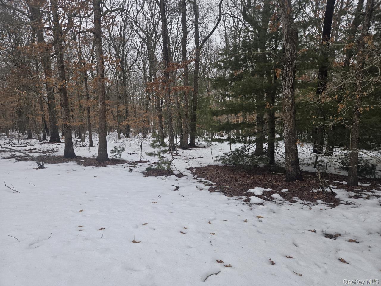 9 Haney Court, Manorville, NY 11949