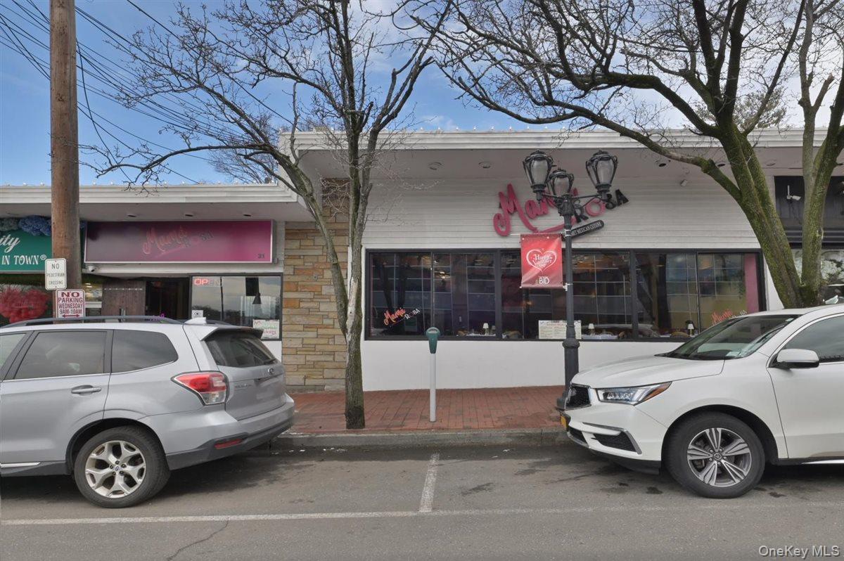 31 S Middle Neck Road, Great Neck, NY 11021