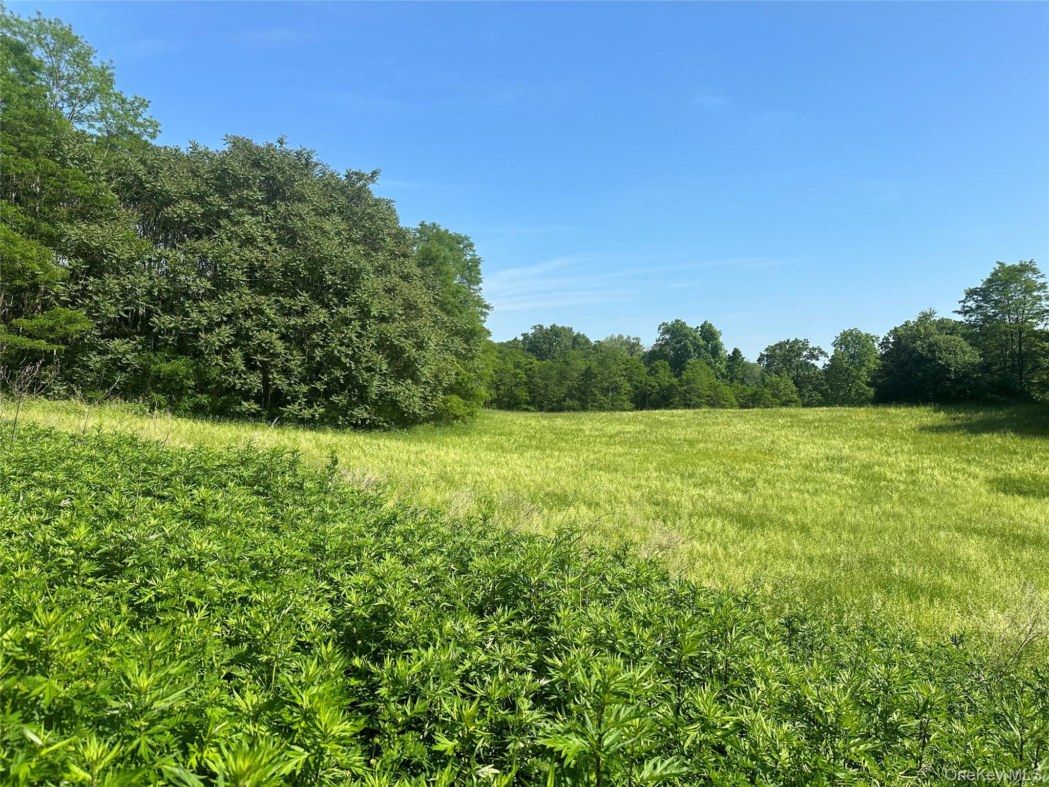 Off Pleasant Vale Road, Tivoli, NY 12583