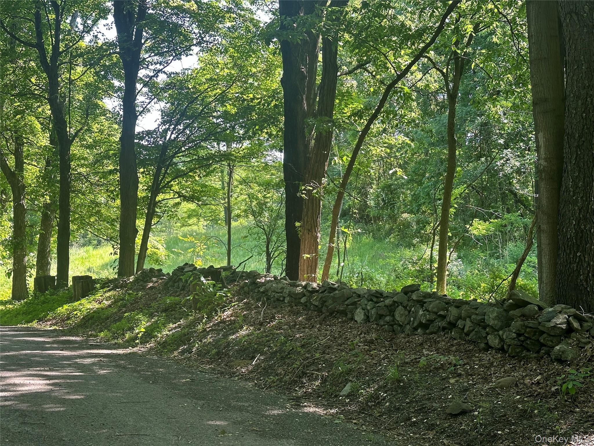 Off Pleasant Vale Road, Tivoli, NY 12583