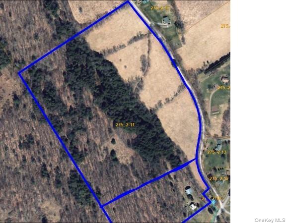 275-1-11 Budine Hill Road, Walton, NY 13856