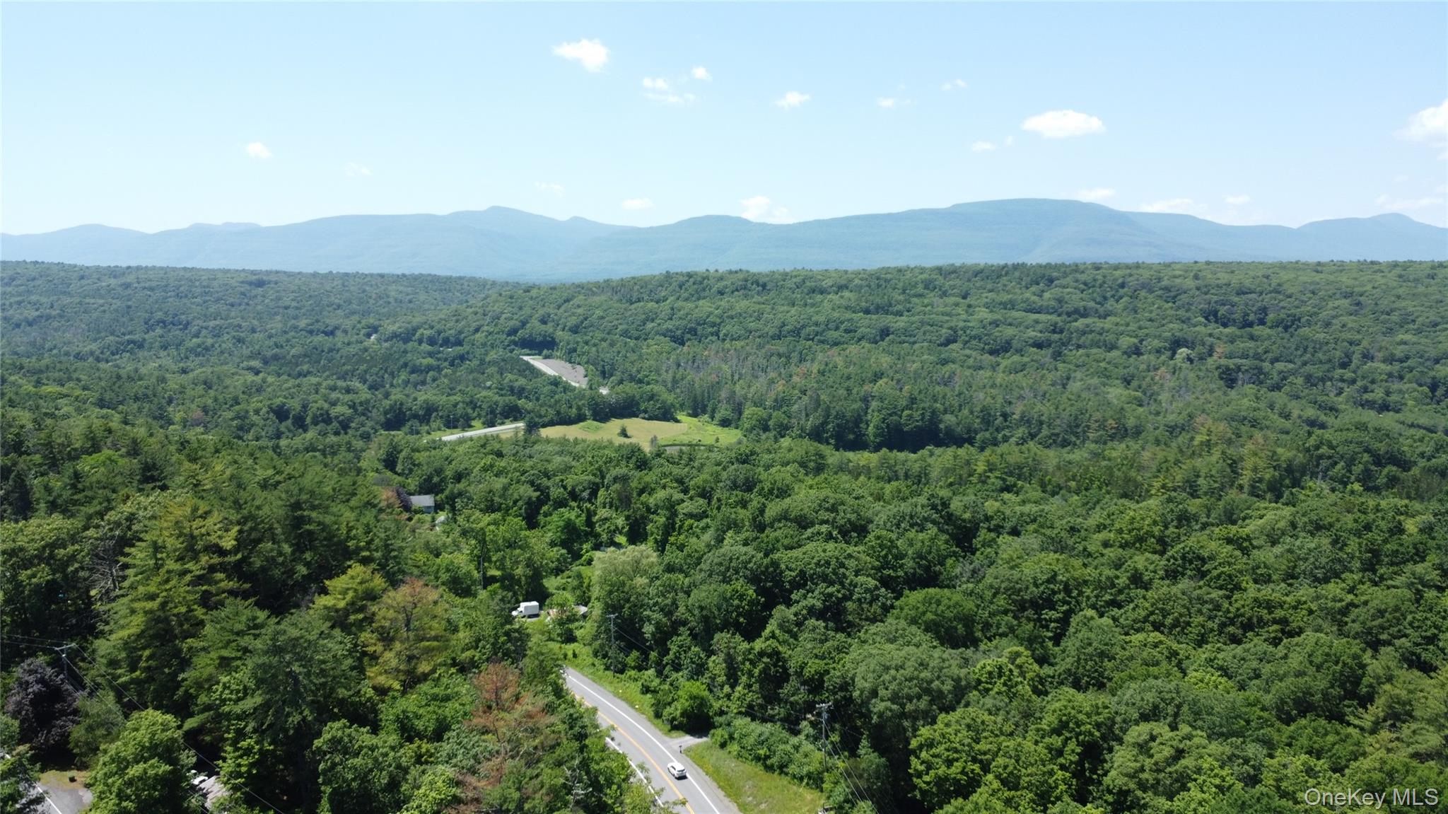 5 Will Palmer Road, Catskill, NY 12414