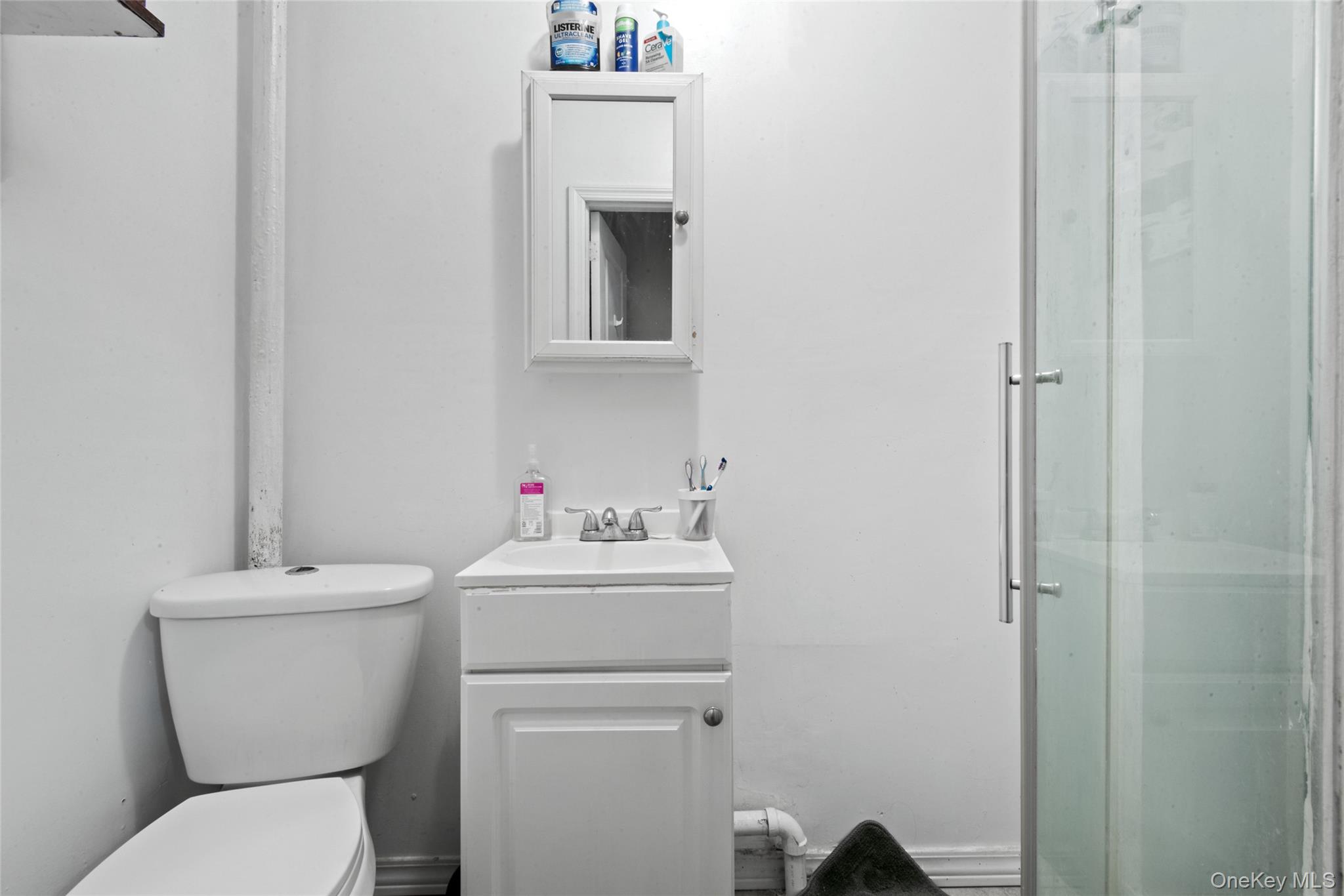 244 45th Street, Brooklyn, NY 11220