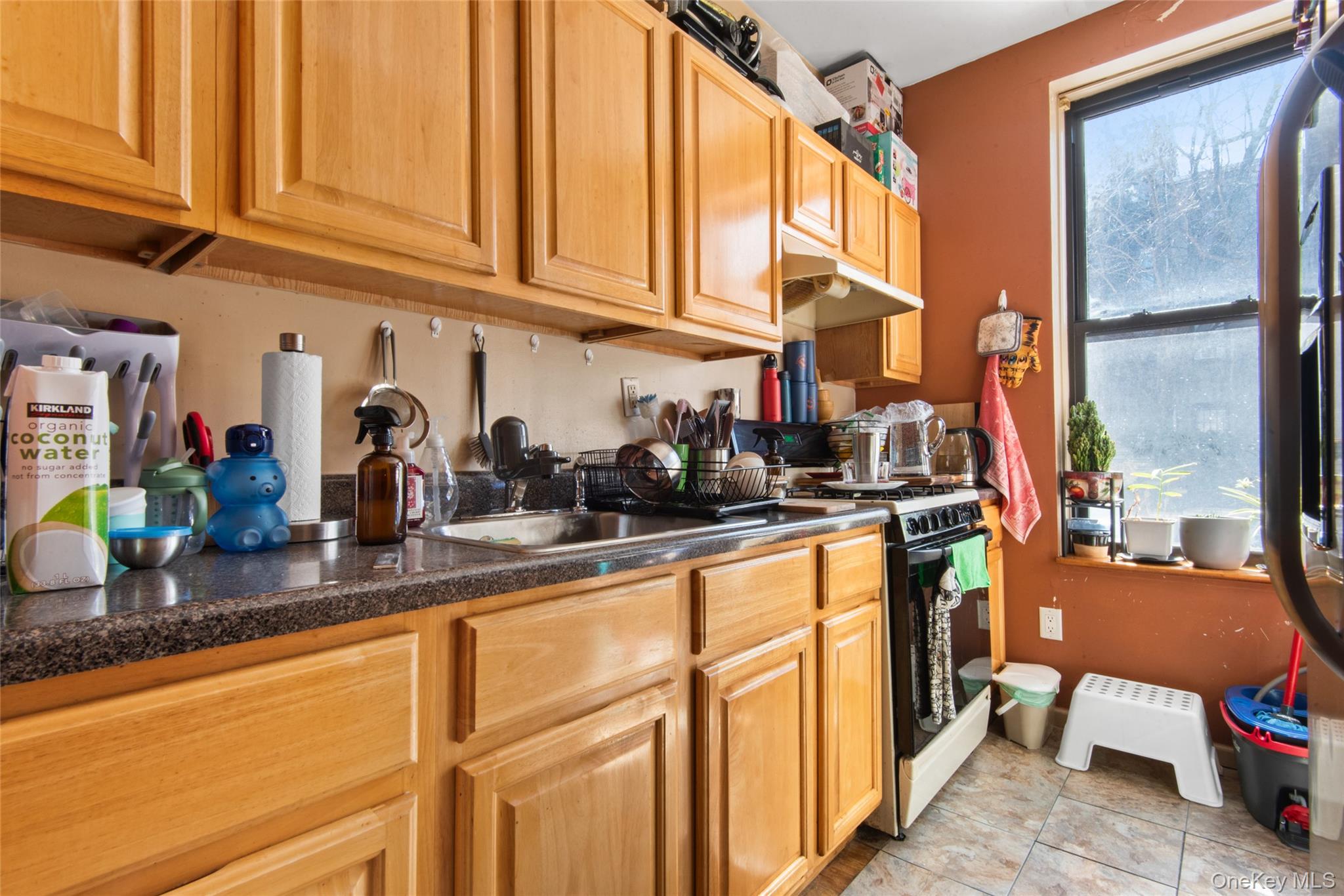 244 45th Street, Brooklyn, NY 11220