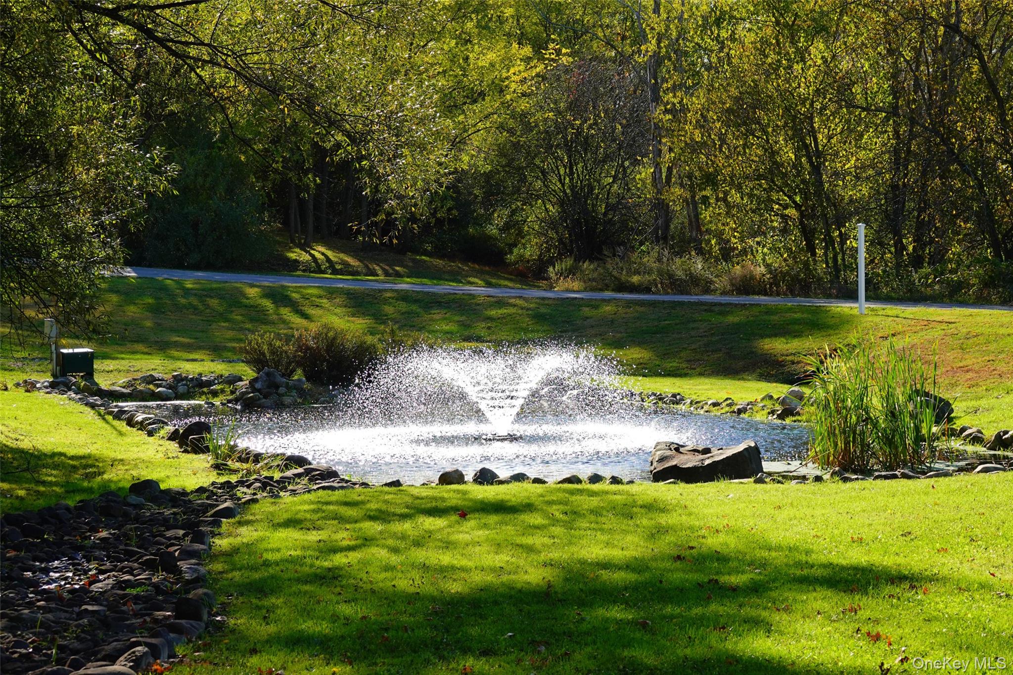 197 Wheeler Road # 92 and 93, Florida, NY 10921