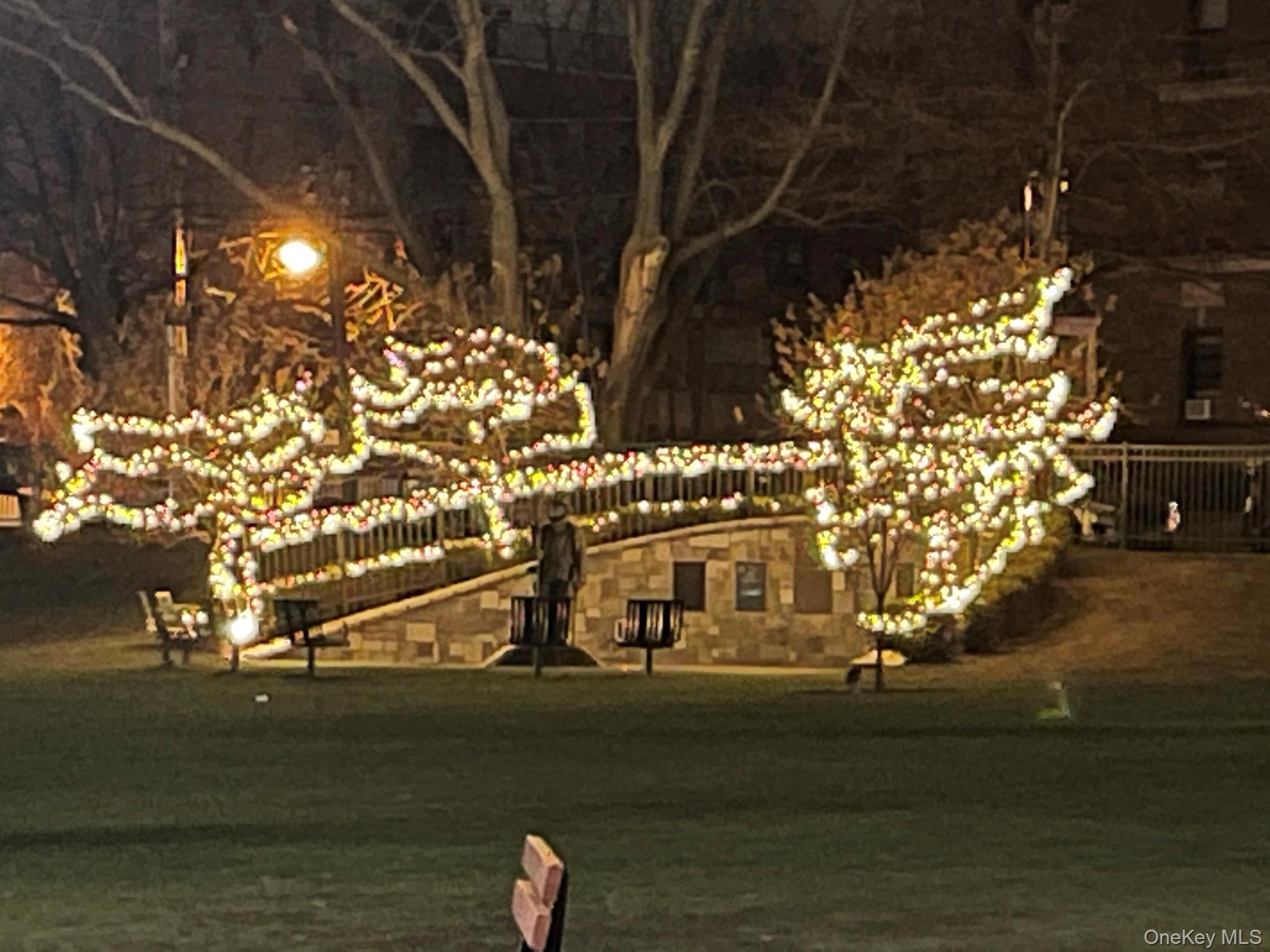 7 Bond Street # 1D, Great Neck Plaza, NY 11021