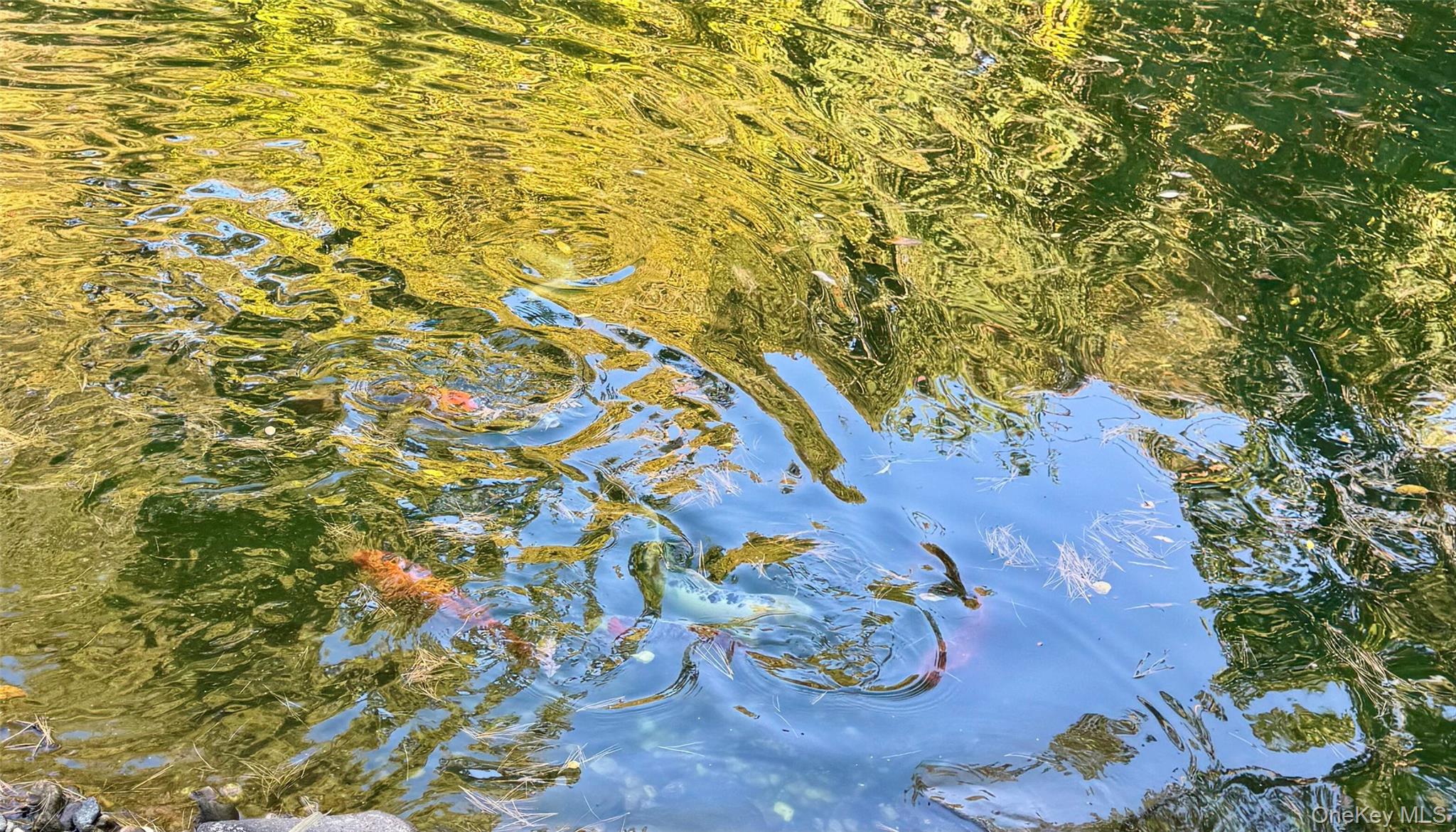 55 Kristin Lane, Hauppauge, NY 11788