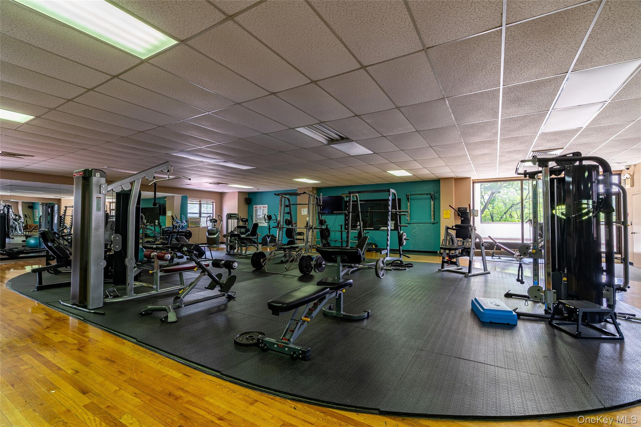 98 Pearsall Drive # 1A, Mount Vernon, NY 10552