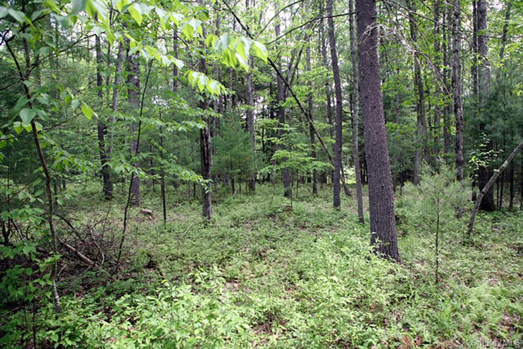 country Road, Callicoon, NY 12723