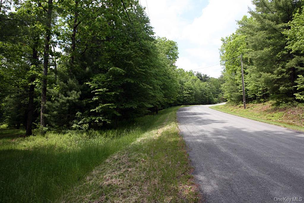 country Road, Callicoon, NY 12723