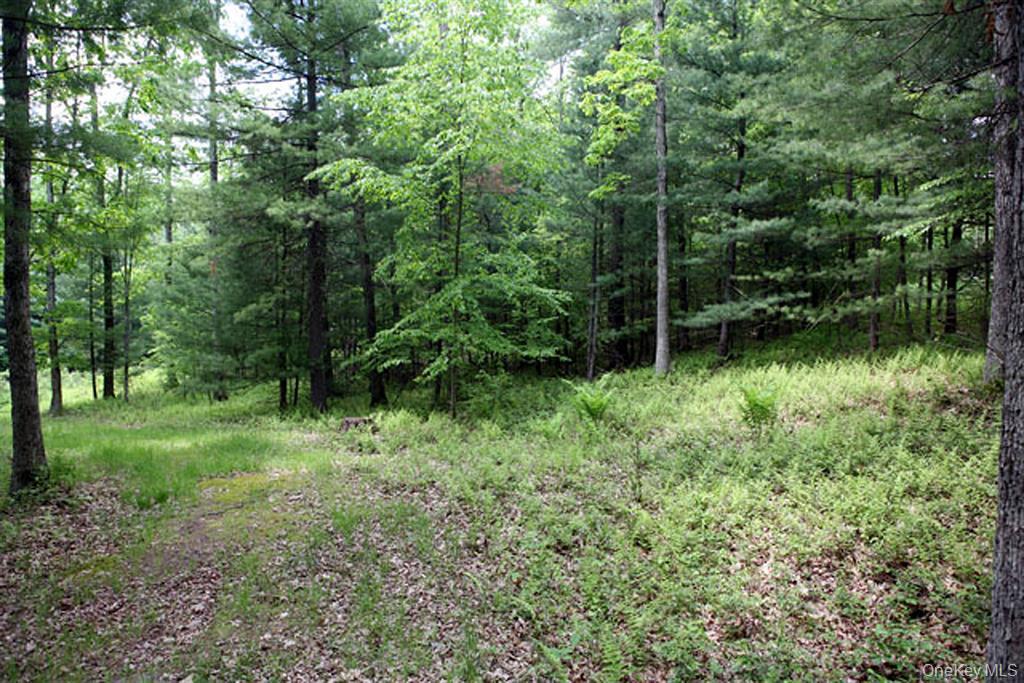 country Road, Callicoon, NY 12723