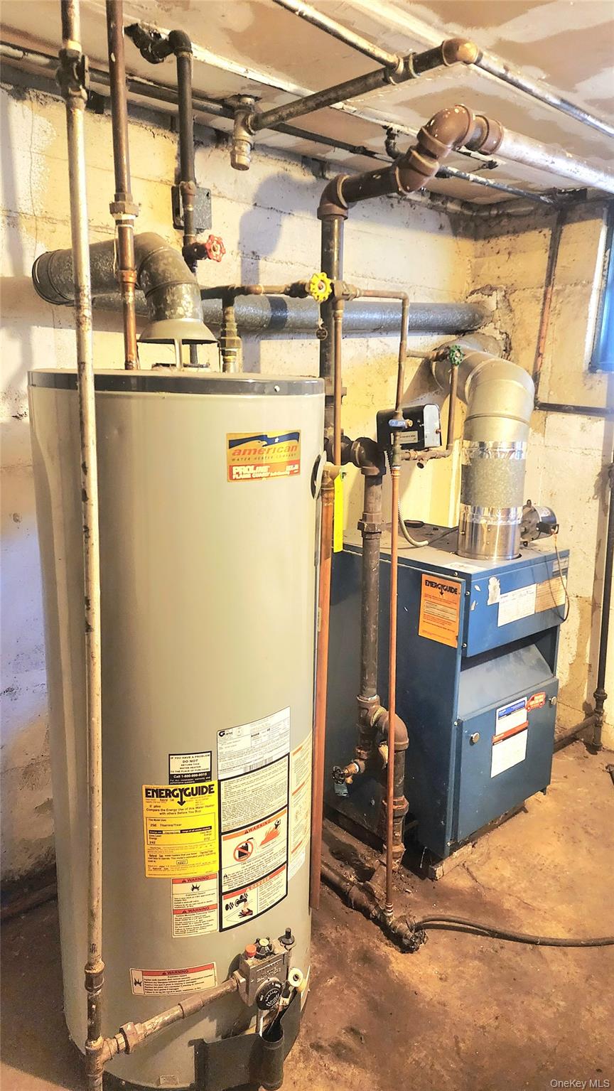 664 Remsen Avenue, Brooklyn, NY 11236