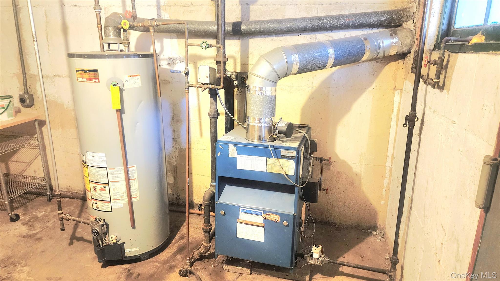 664 Remsen Avenue, Brooklyn, NY 11236