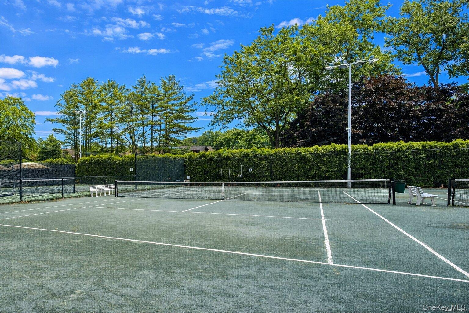 63 Acorn Ponds Drive, Roslyn, NY 11576