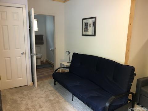 6696 Rt-52, Cochecton, NY 12726