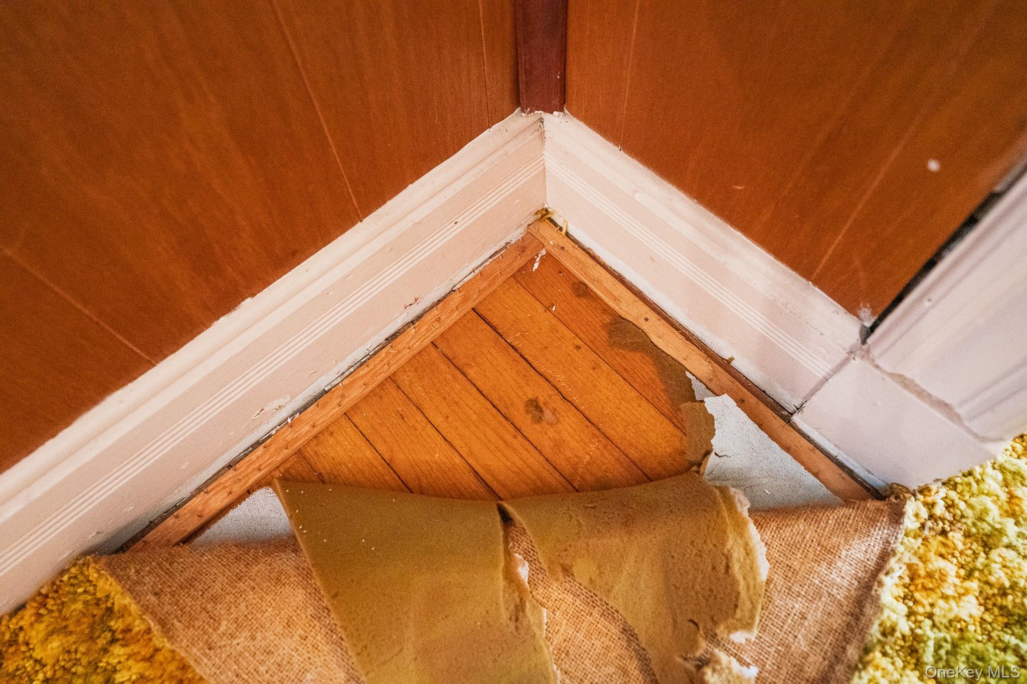 247 W Chestnut Street, Kingston, NY 12401