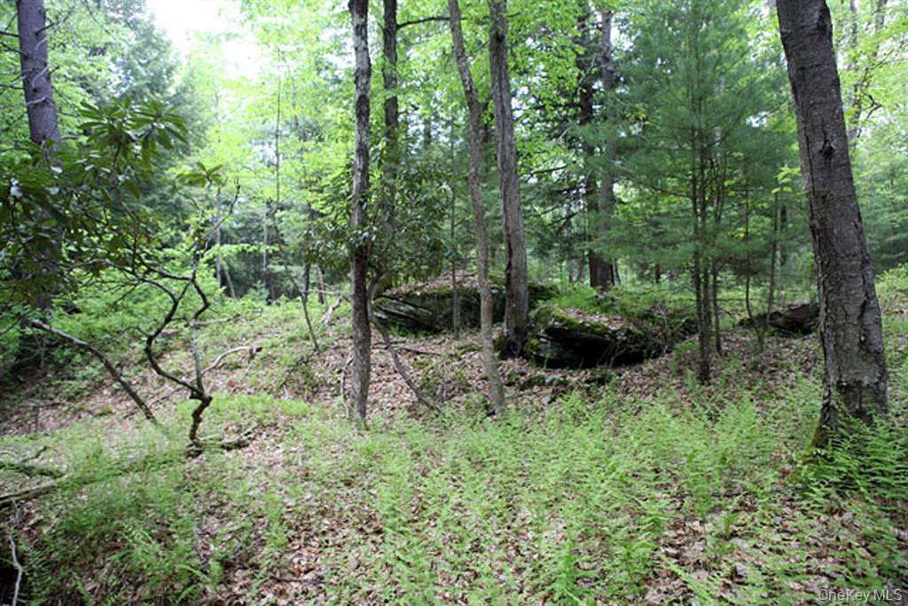 0 Neighborhood Road, Shirley, NY 11967