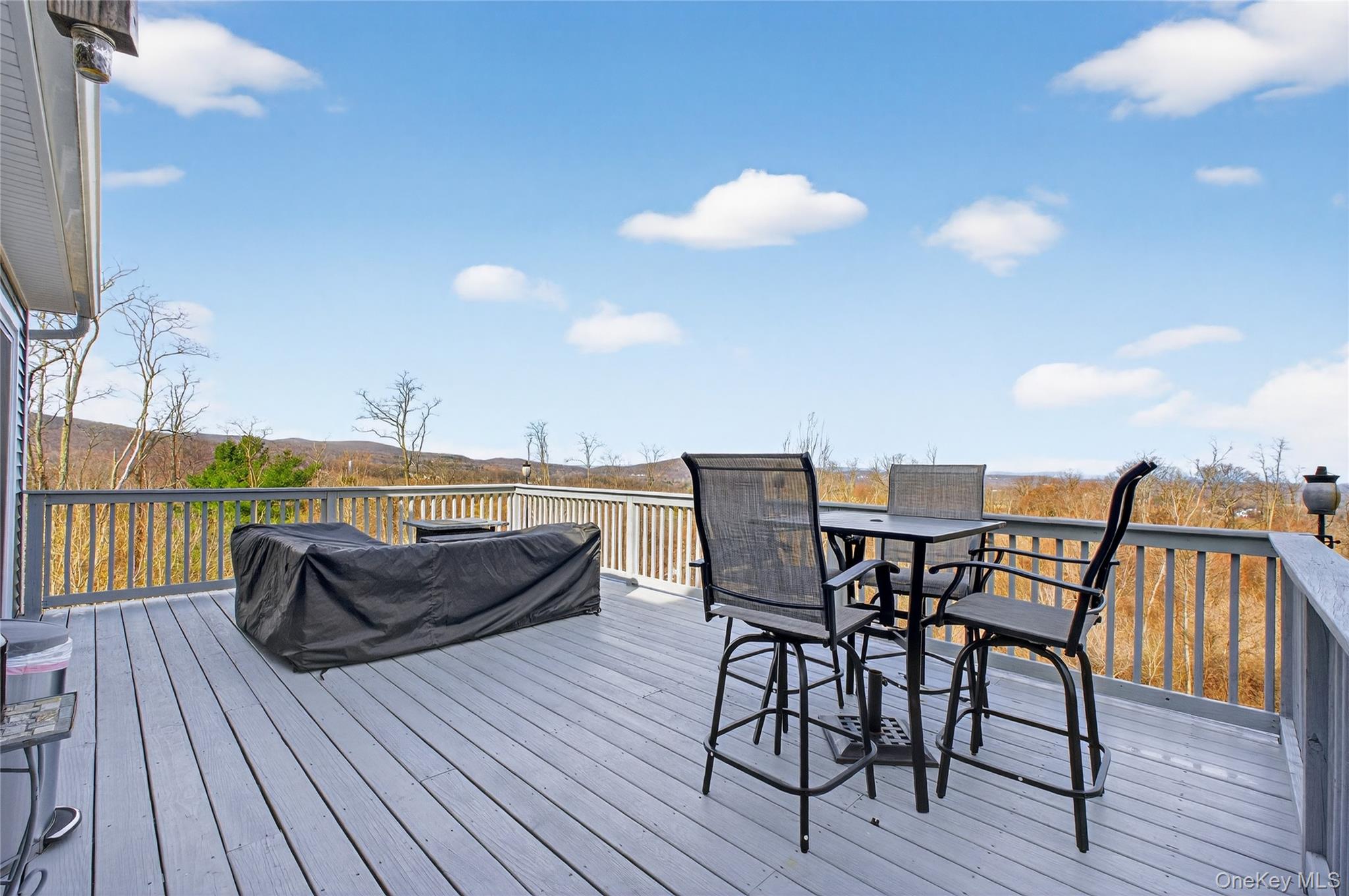 24 Sebastian Court, Hopewell Junction, NY 12533