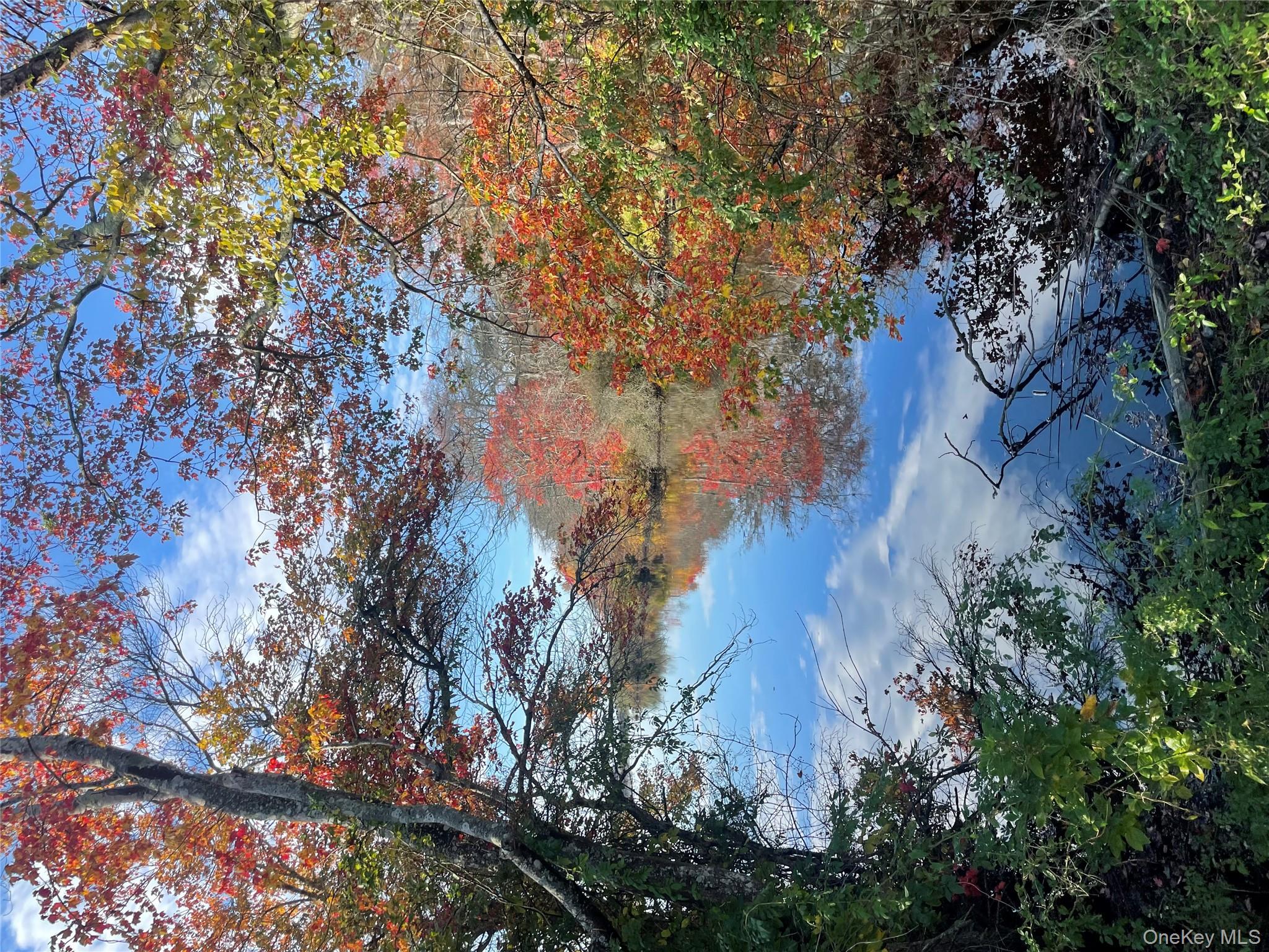 79 Grandview Drive, Shirley, NY 11967